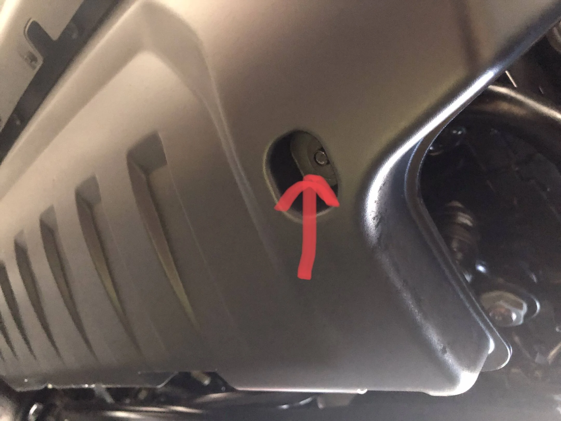 Jeep Wrangler JL Rigid 360 4 inch amber cover (install) B606C72E-711C-455D-801A-C429991329CD