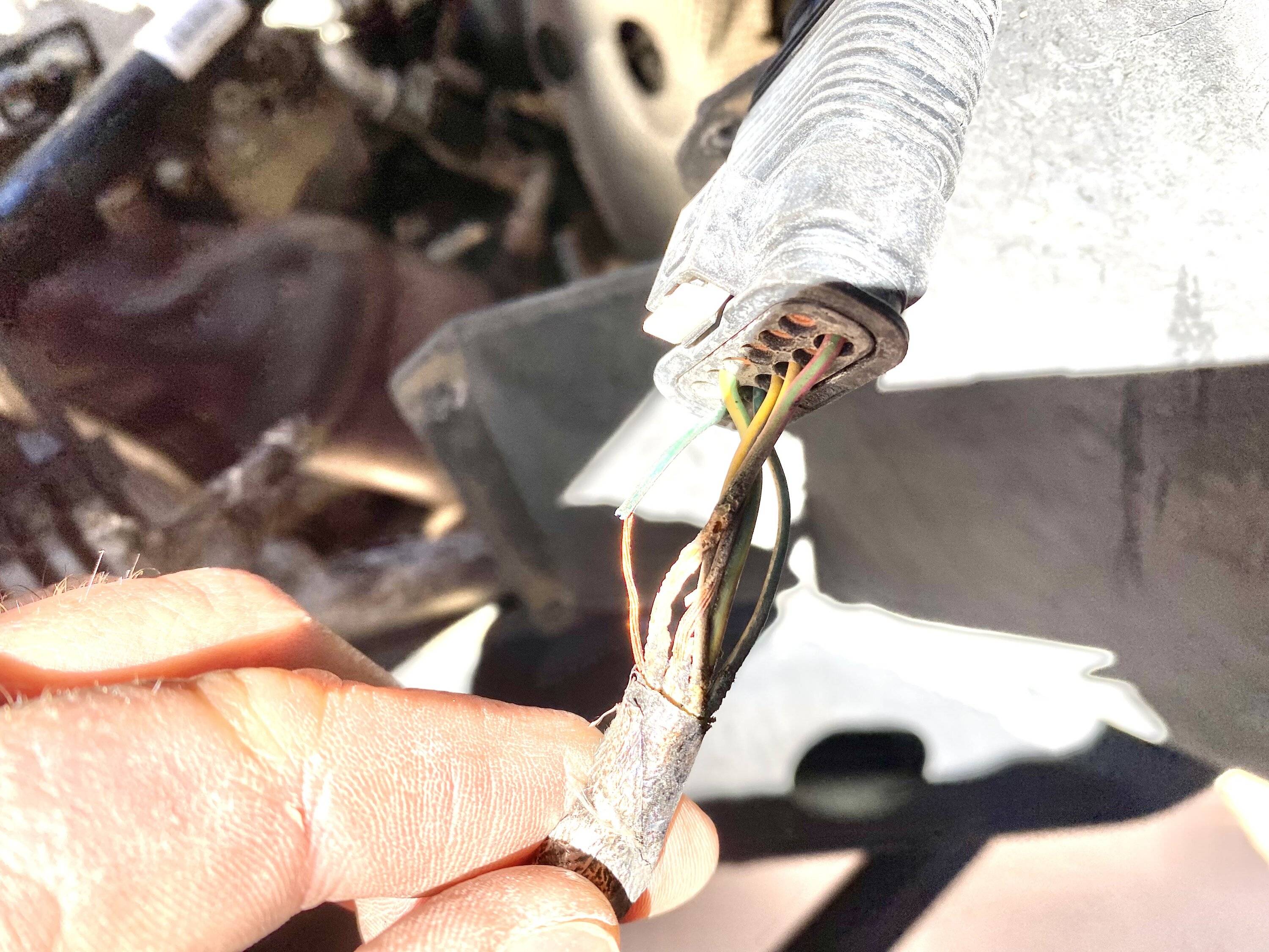 Jeep Wrangler JL Rats, a fire? 0385A348-03CA-4D84-9753-3A9313CFAB4A