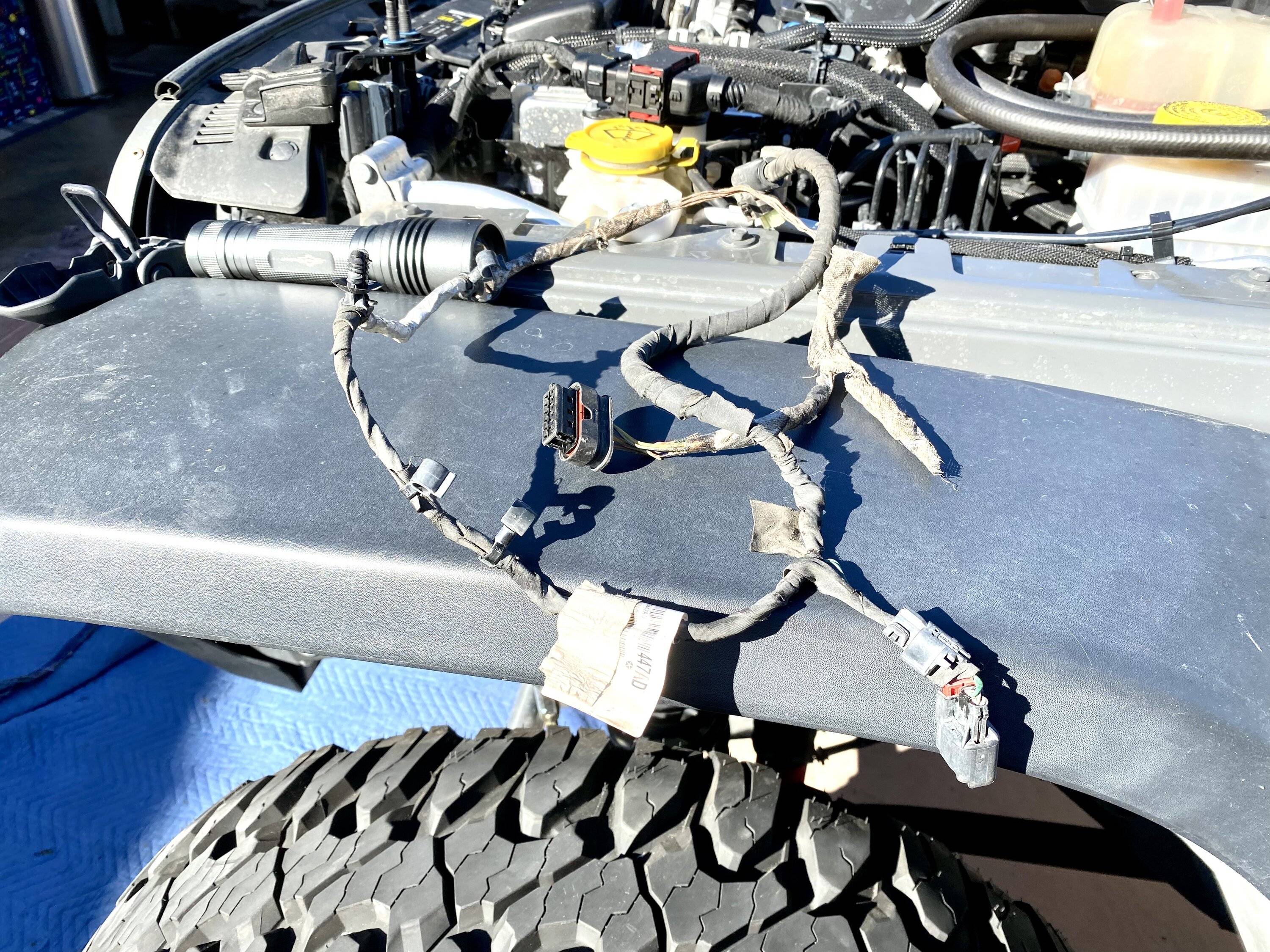 Jeep Wrangler JL Rats, a fire? 3CF1D767-C1D8-43CB-8CBD-4DC1990E96A6
