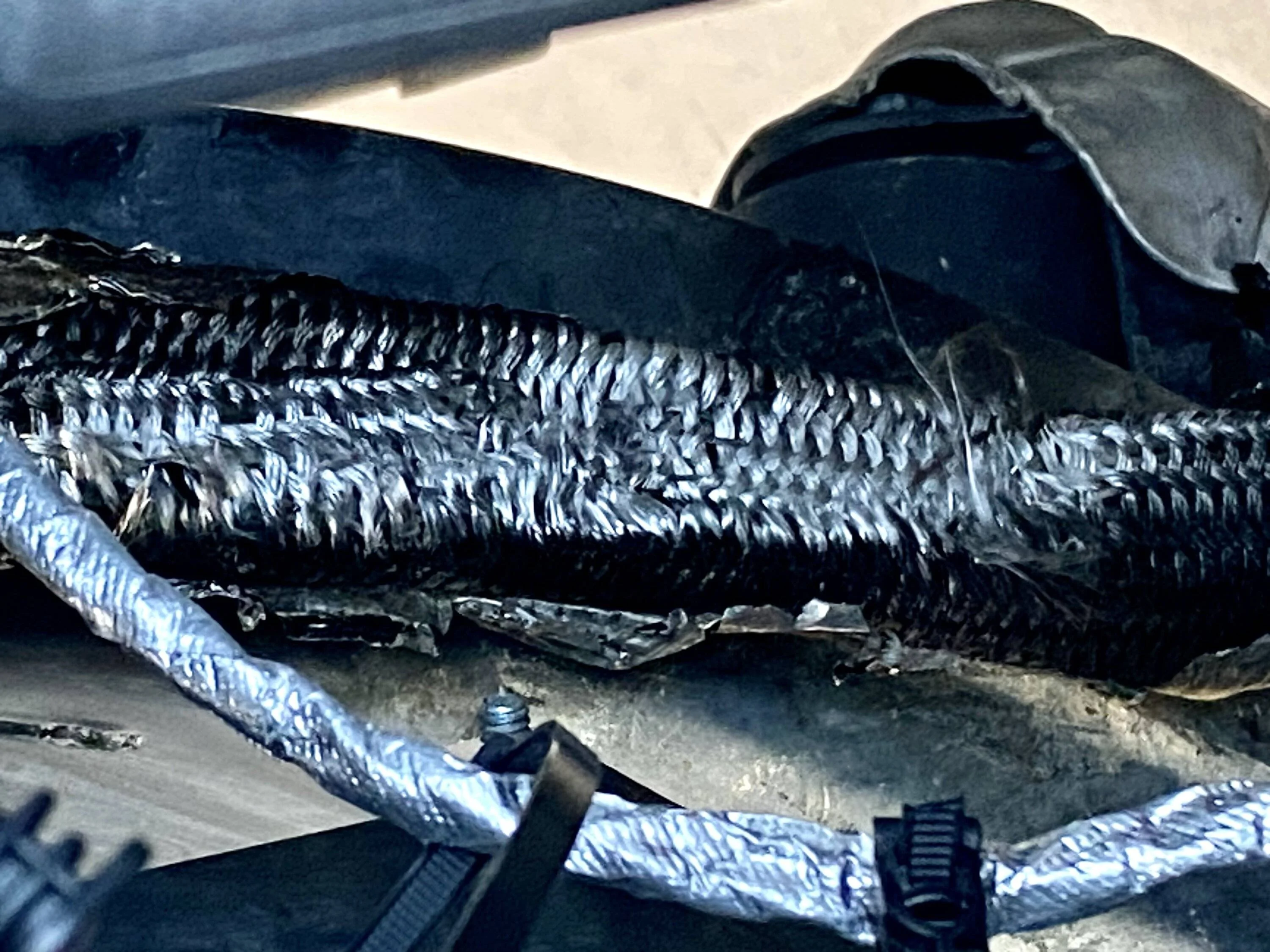 Jeep Wrangler JL Rats, a fire? B09B6C0F-C098-48EE-8664-E10F569F1914