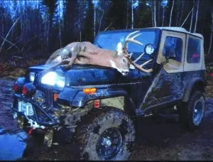 Jeep Wrangler JL protecting hood graphic 1671140343851