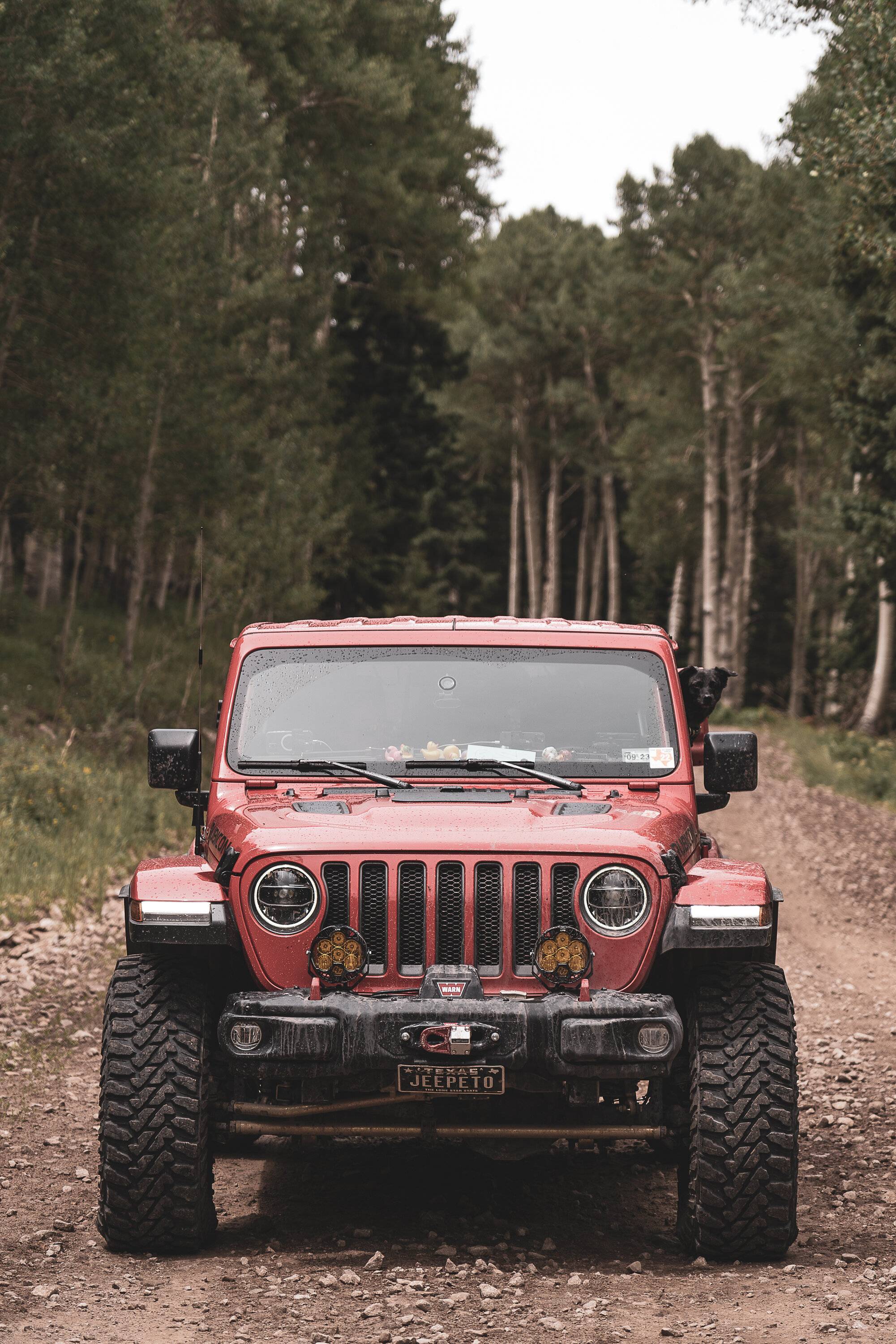 Jeep Wrangler JL Discreet Lights 48FECABB-519E-49D6-A821-C437E5857101