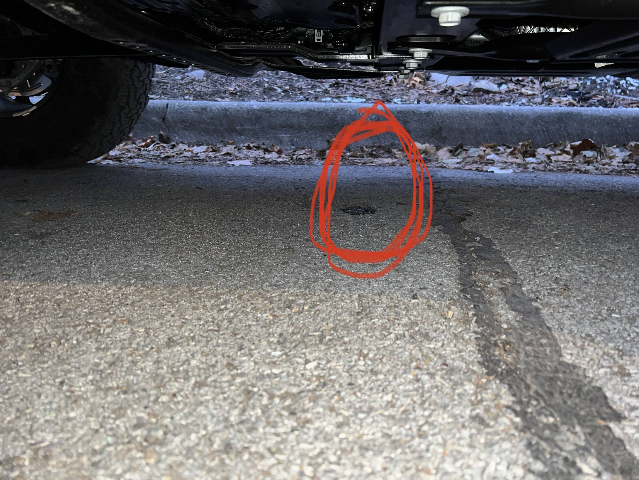 Jeep Wrangler JL 2023 JLUR 4xe: Transfer Case leak AD7F9574-D815-4421-8A8F-0001A520FE87