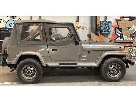 Jeep Wrangler JL Painted JLUR TOP!!!! 1671989987933