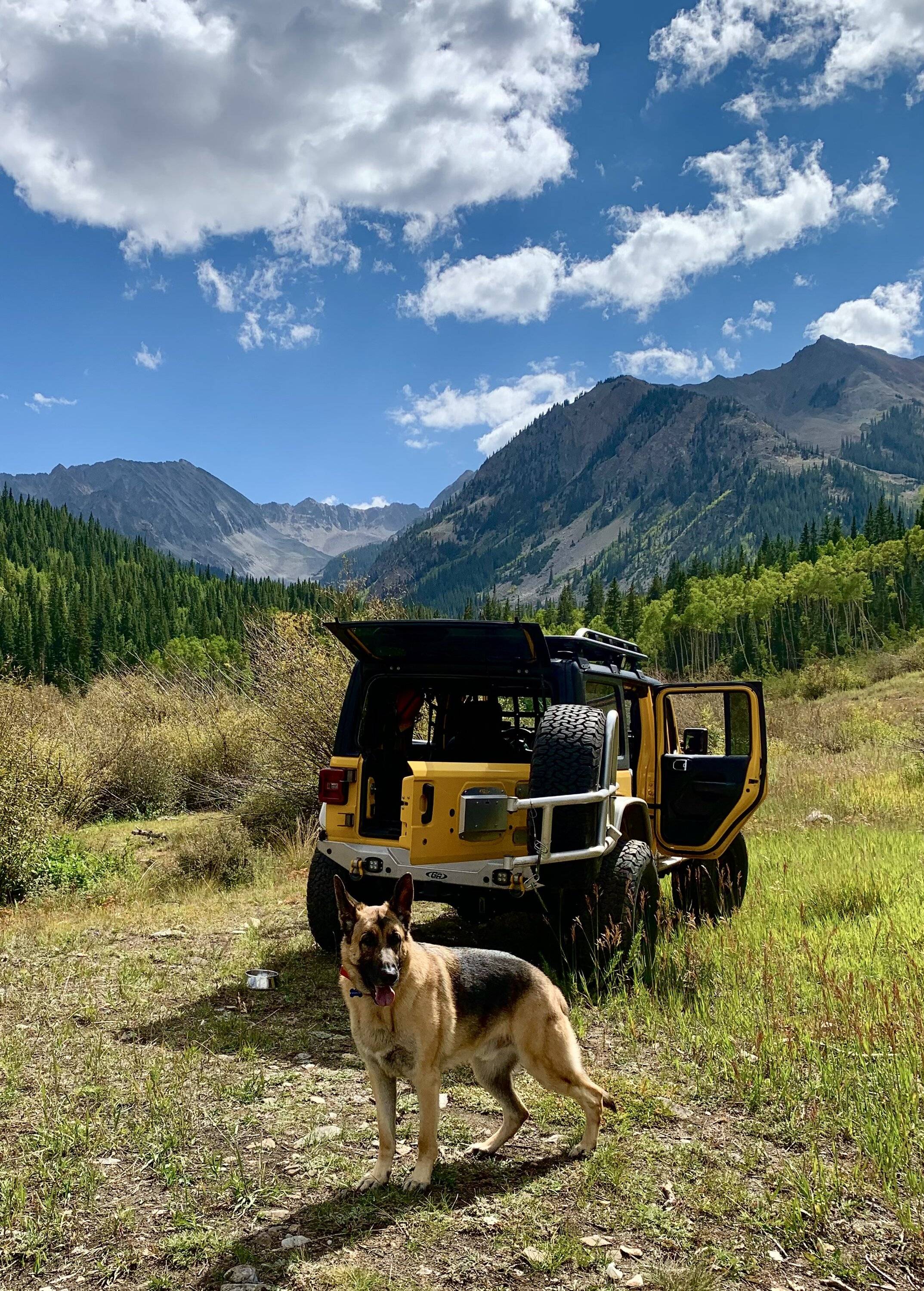 Jeep Wrangler JL Dogs...show 'em F59CD821-2DEA-415D-8B17-F95239E28788