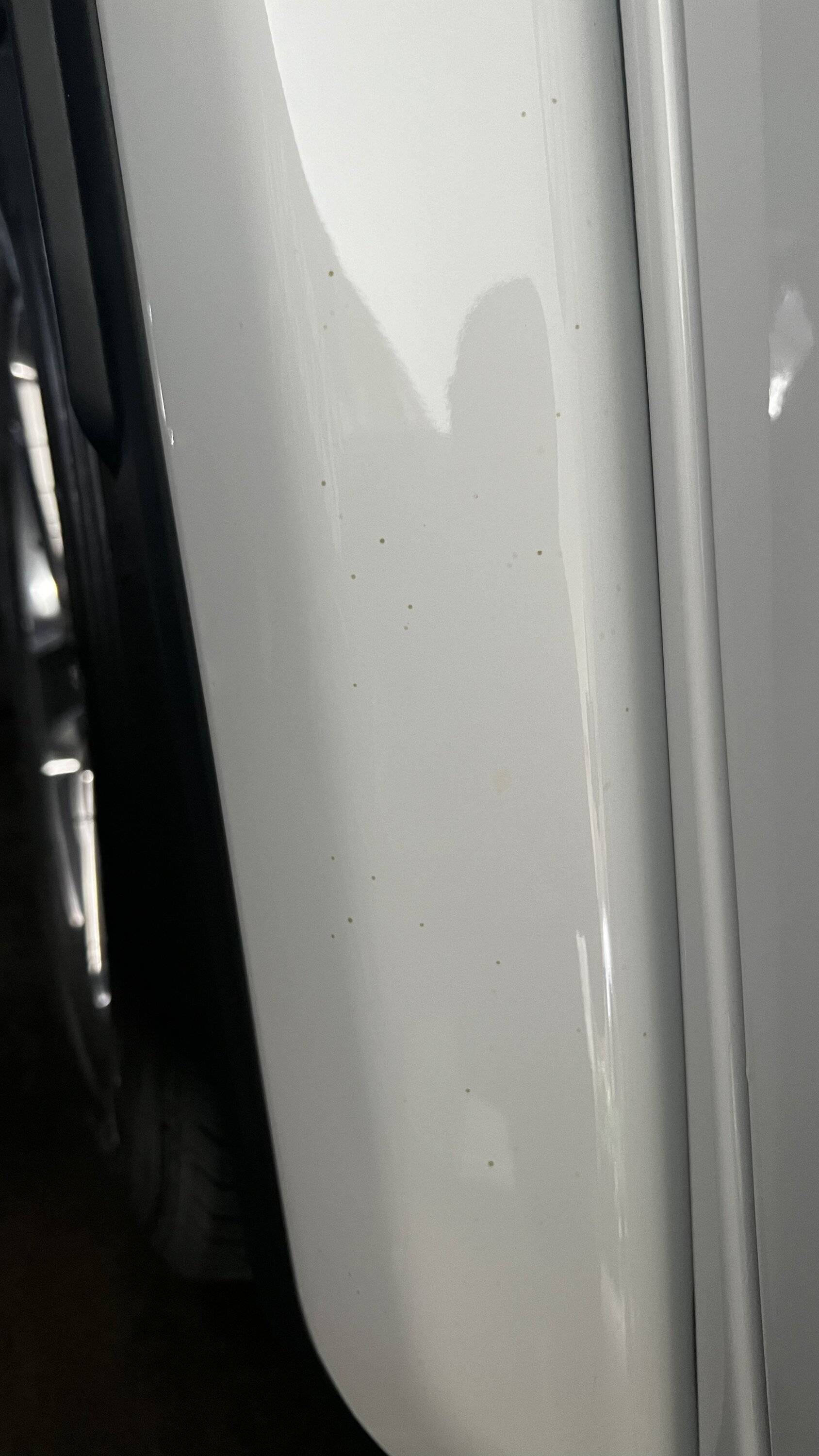 Jeep Wrangler JL Brown/orange dots in paint IMG_1375