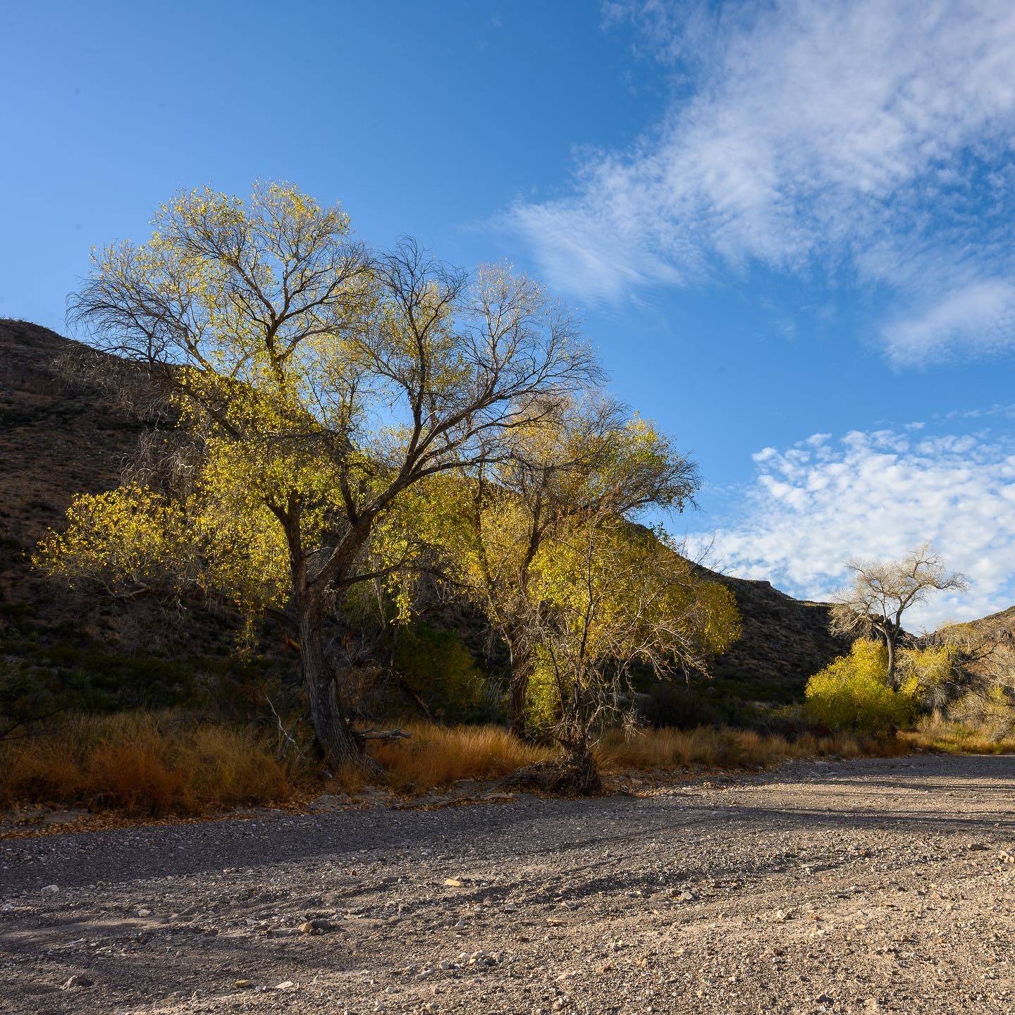 Jeep Wrangler JL Big Bend Ranch SP in December F1303497-D7AB-4B8E-97EE-BCE51D1859B3