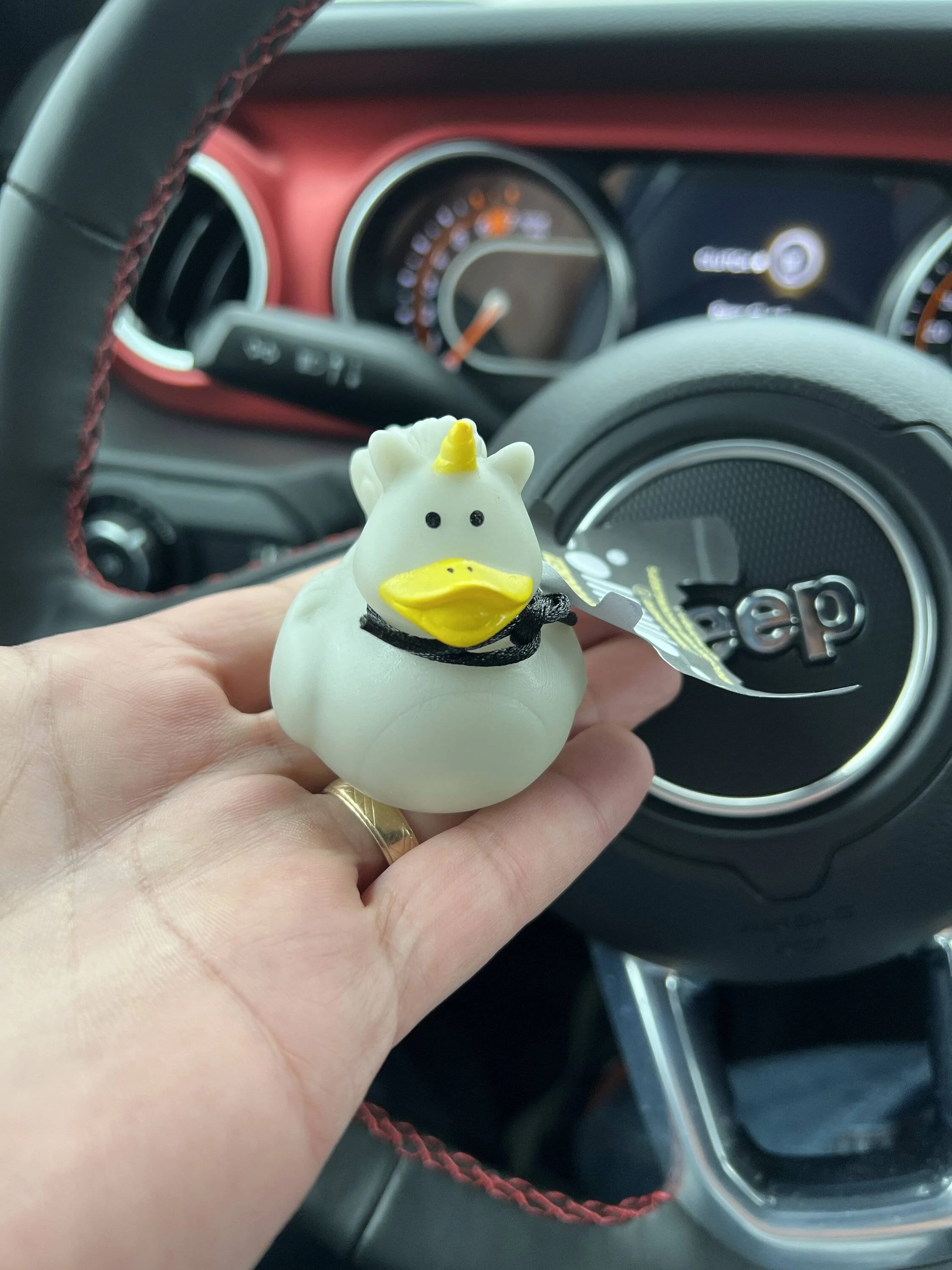 Jeep Wrangler JL I Got My First Duck! E2E33D3A-3AC1-4278-A4A2-AD18F714DCDD