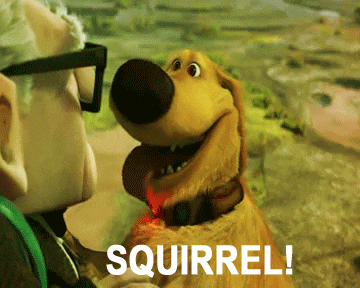 Jeep Wrangler JL Squirrel? R (15)