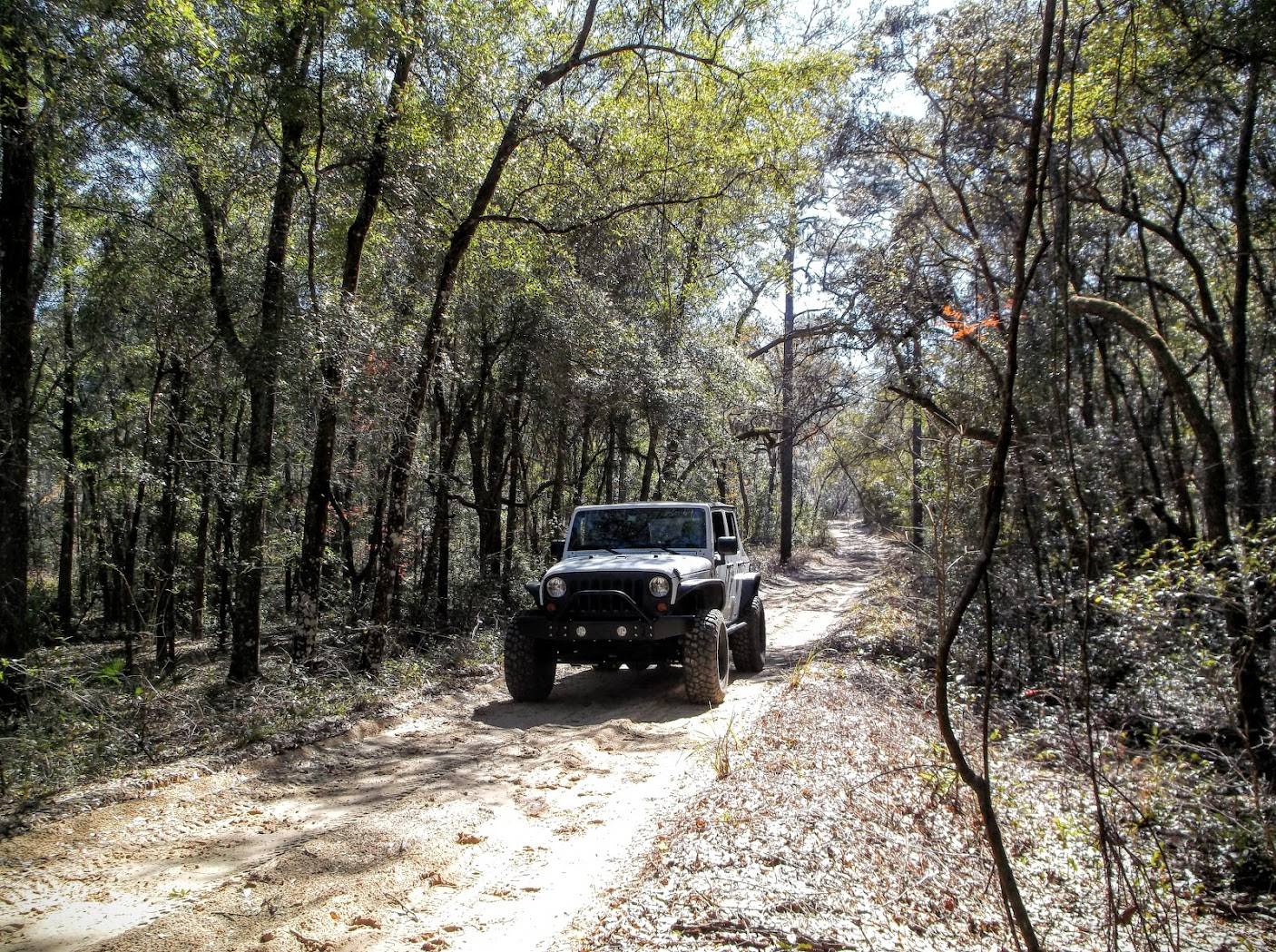 Jeep Wrangler JL Florida Off-Roading DSCF0039.JPG