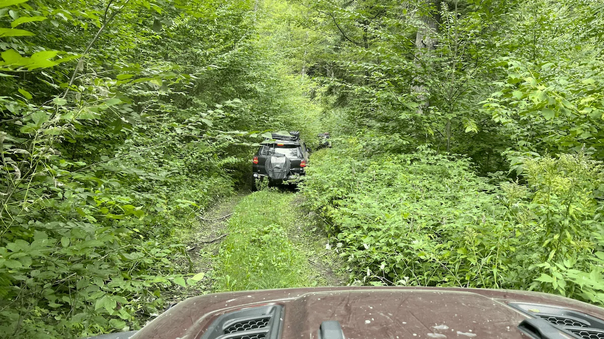 Jeep Wrangler JL taillight extension removal? branches
