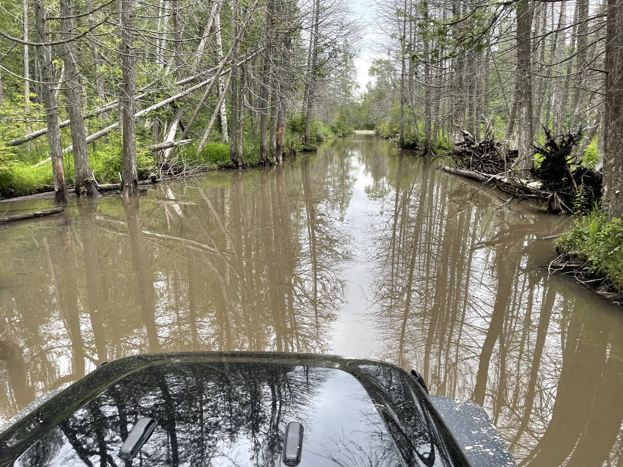 Jeep Wrangler JL Michigan 2018 Sport Unlimited JL - Moderate Budget - Maximizing Wheeling IMG_5104 (1)