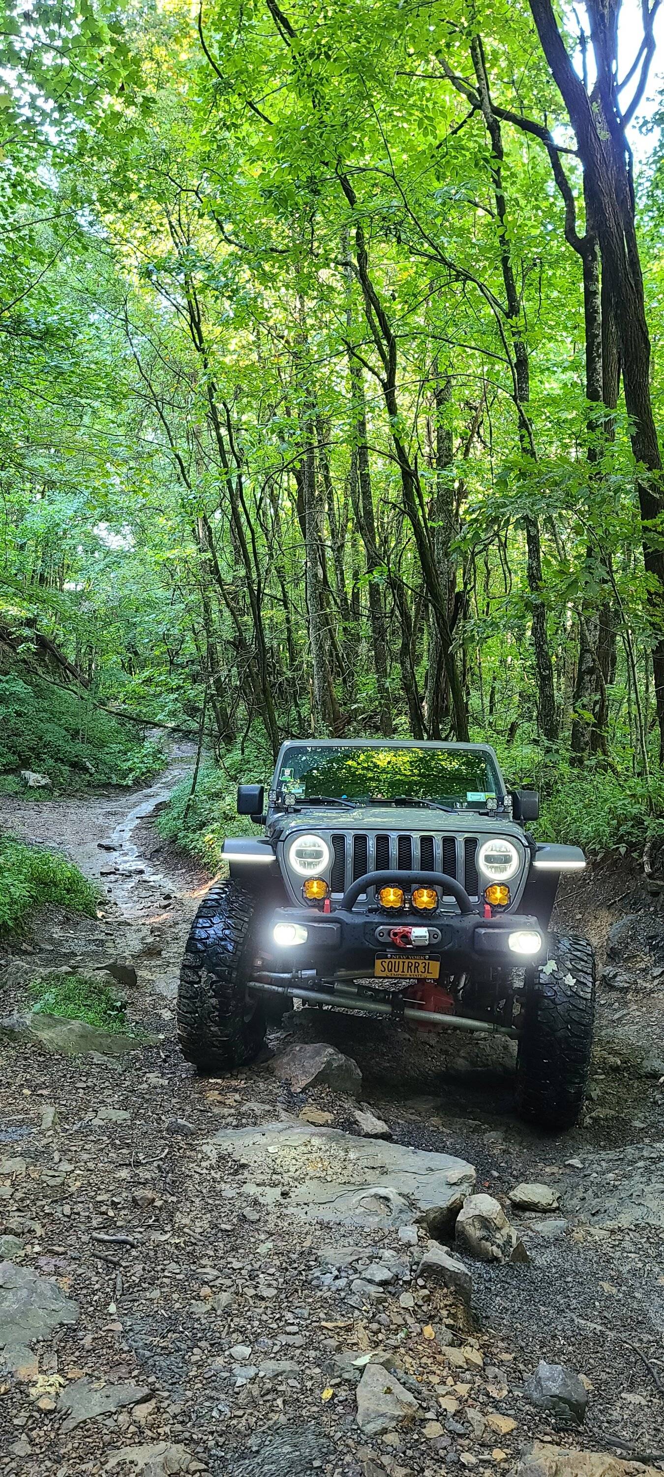Jeep Wrangler JL Set OEM LEDs always ON (Except Headlights) in AUTO 20220906_163751
