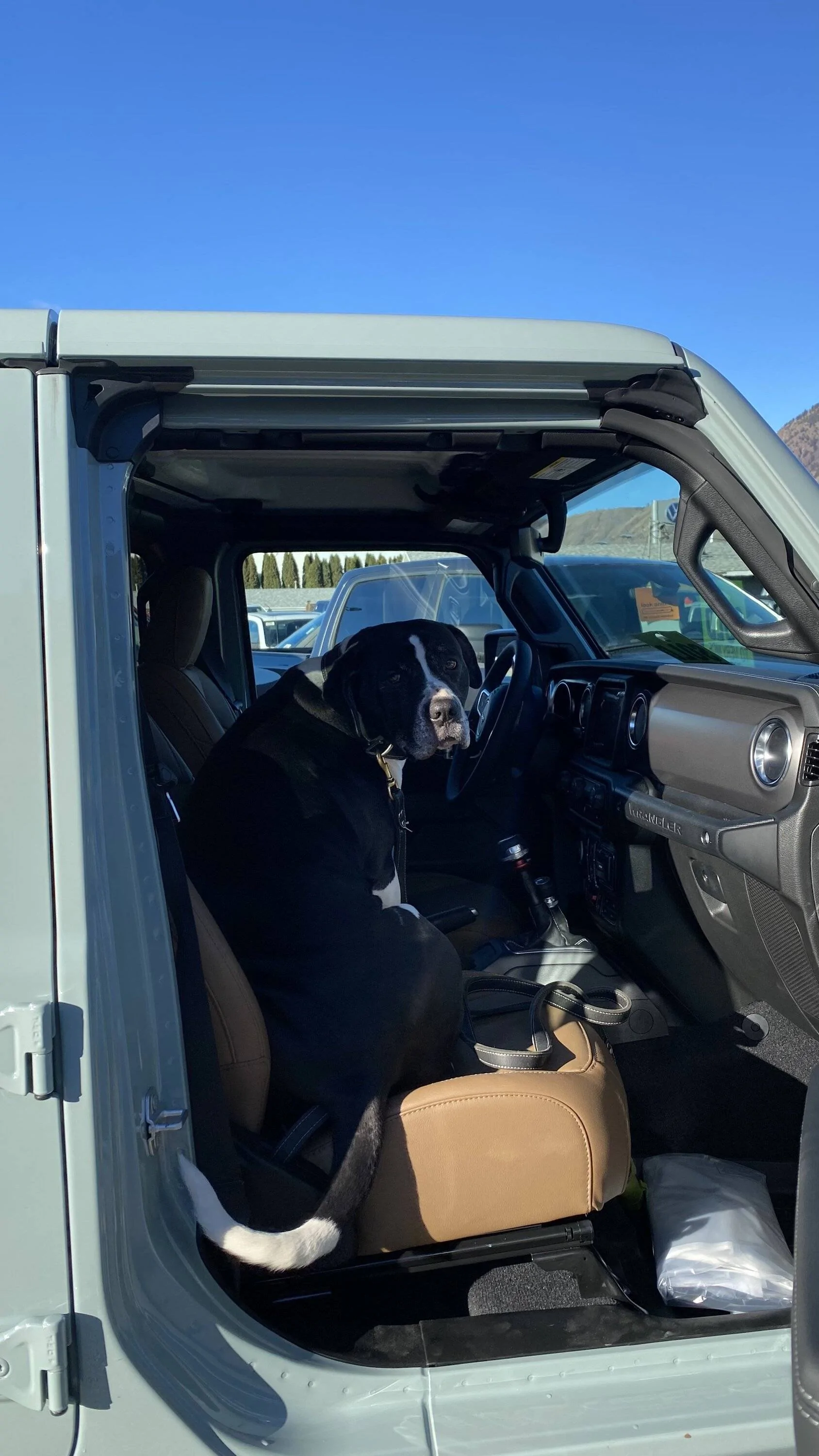 Jeep Wrangler JL BeeBee's Build Journey IMG_0527