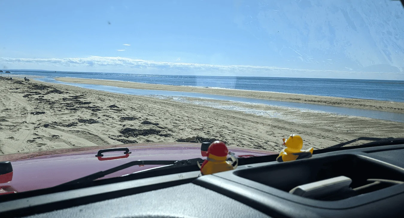Jeep Wrangler JL Let's see your ducks! 1675266682929