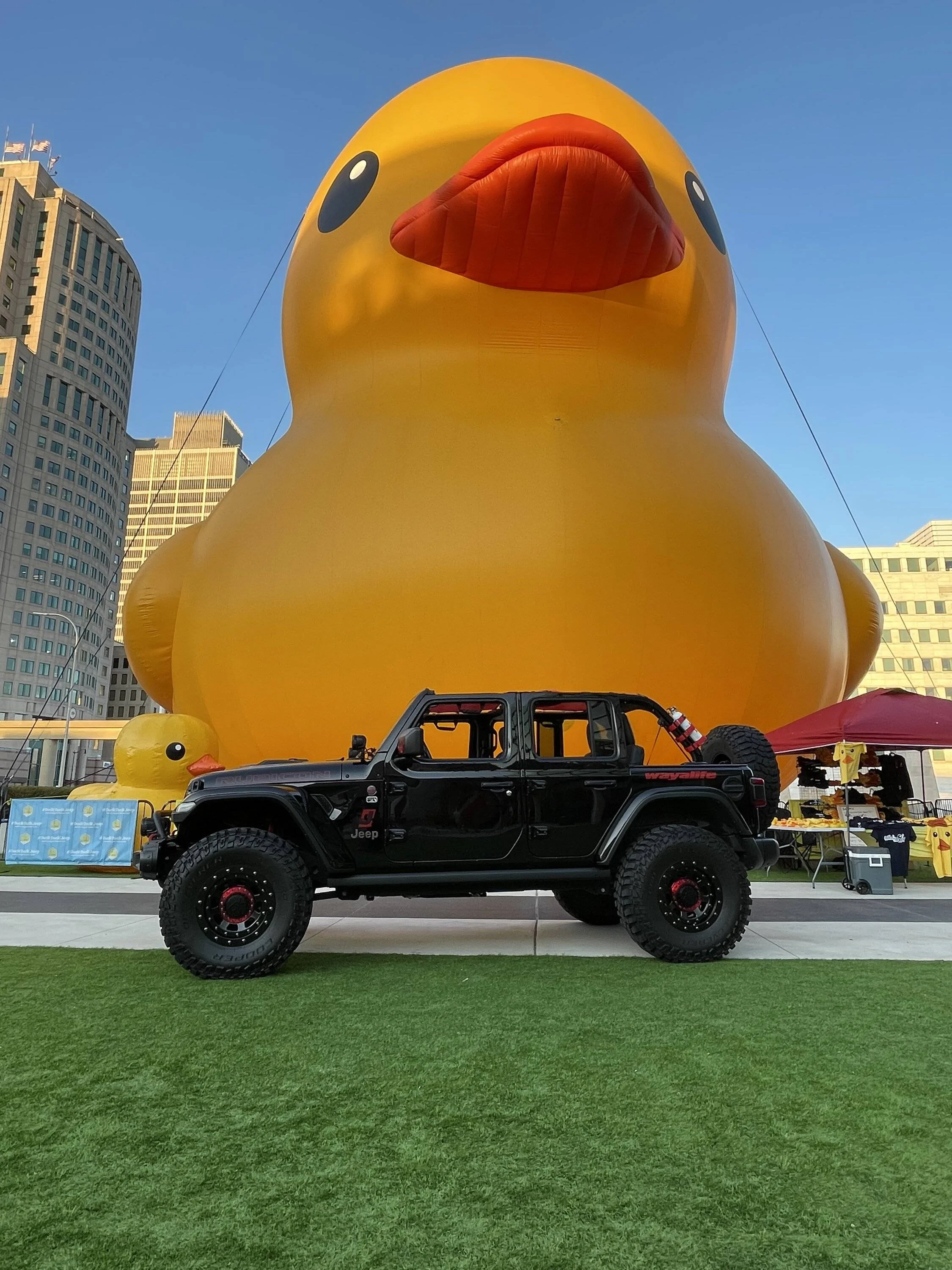 Jeep Wrangler JL Let's see your ducks! IMG_2290