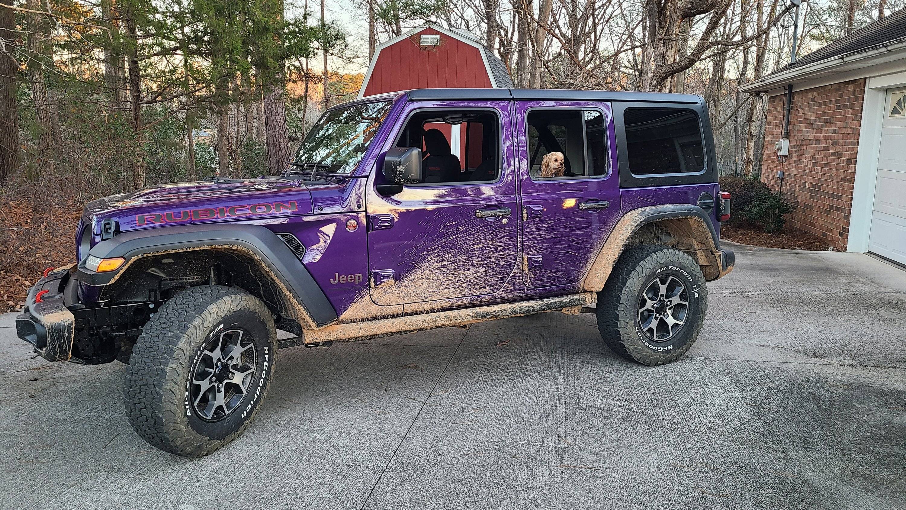 Jeep Wrangler JL Jeep Dog pics 20230128_073730