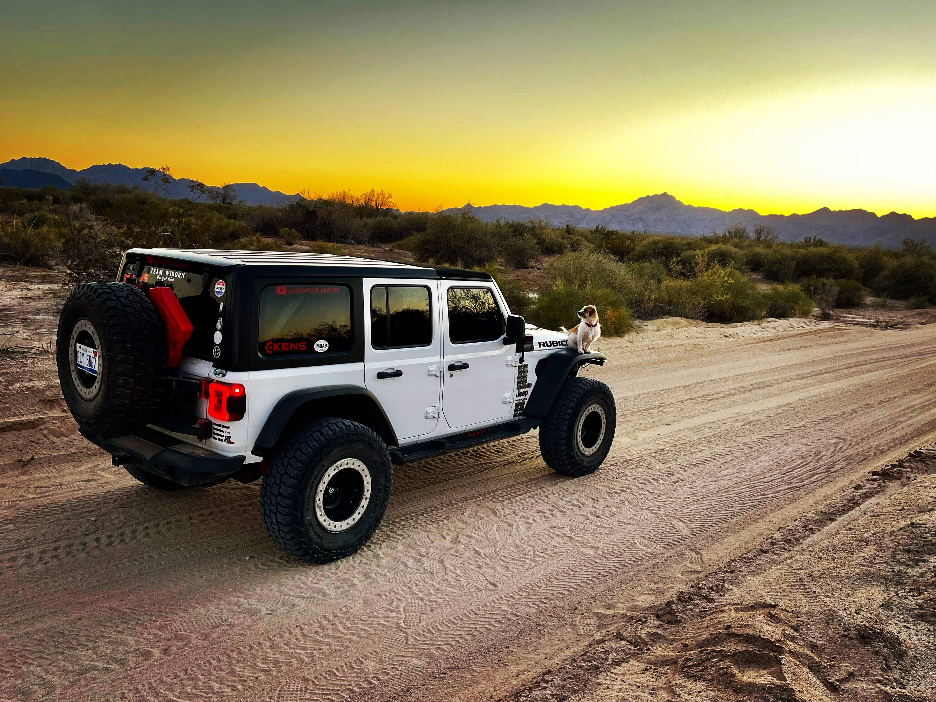 Jeep Wrangler JL Jeep Dog pics EDE964CB-E083-48EC-8439-36301A82C144