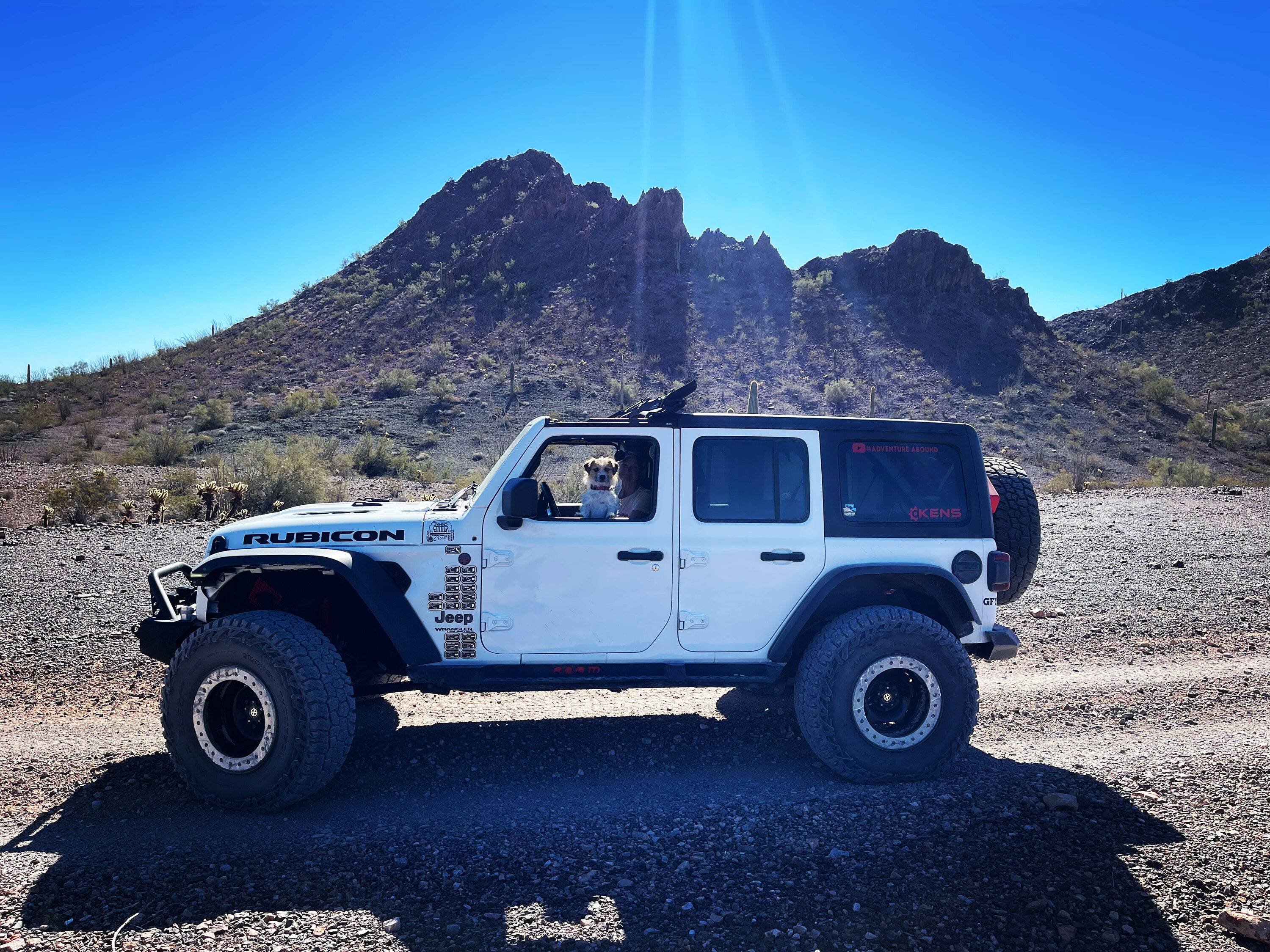 Jeep Wrangler JL Jeep Dog pics BCED4BE0-BAB3-46B9-8252-8615A113F08F