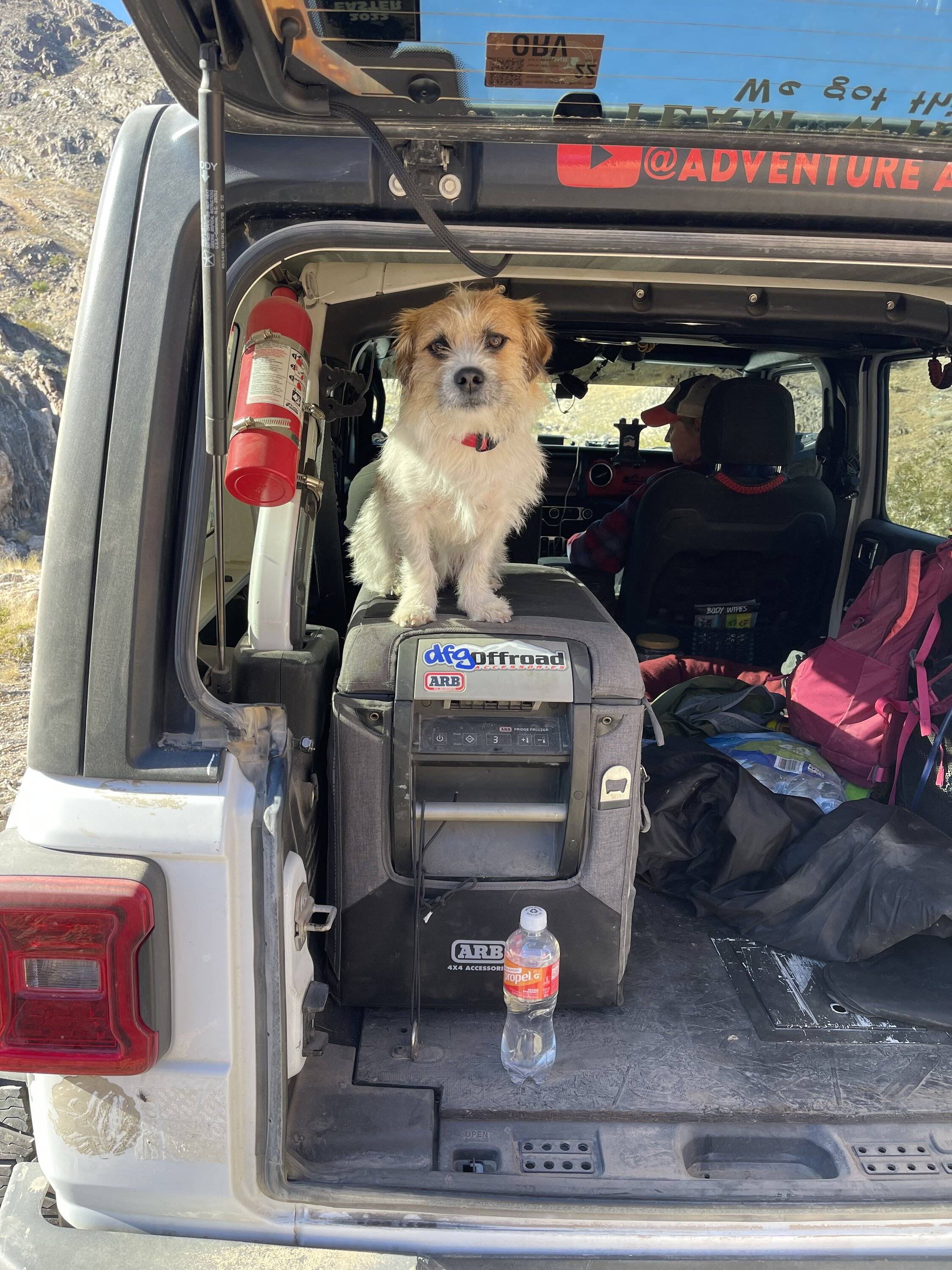 Jeep Wrangler JL Jeep Dog pics 5409DC54-BDCD-4B9D-846A-E66355B545D0