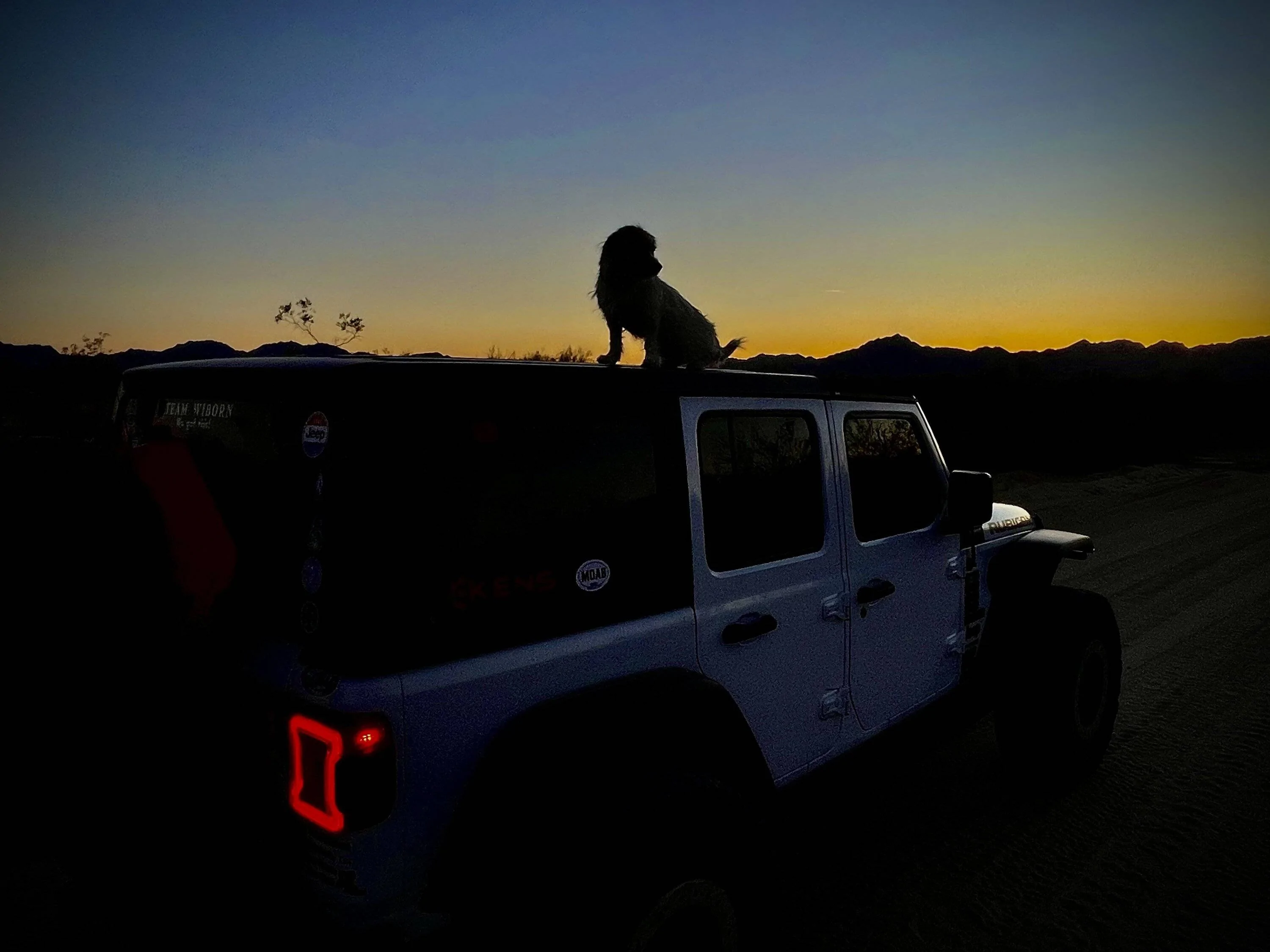 Jeep Wrangler JL Jeep Dog pics 8379C4A2-0AF5-4709-A354-09CF4FCB3628
