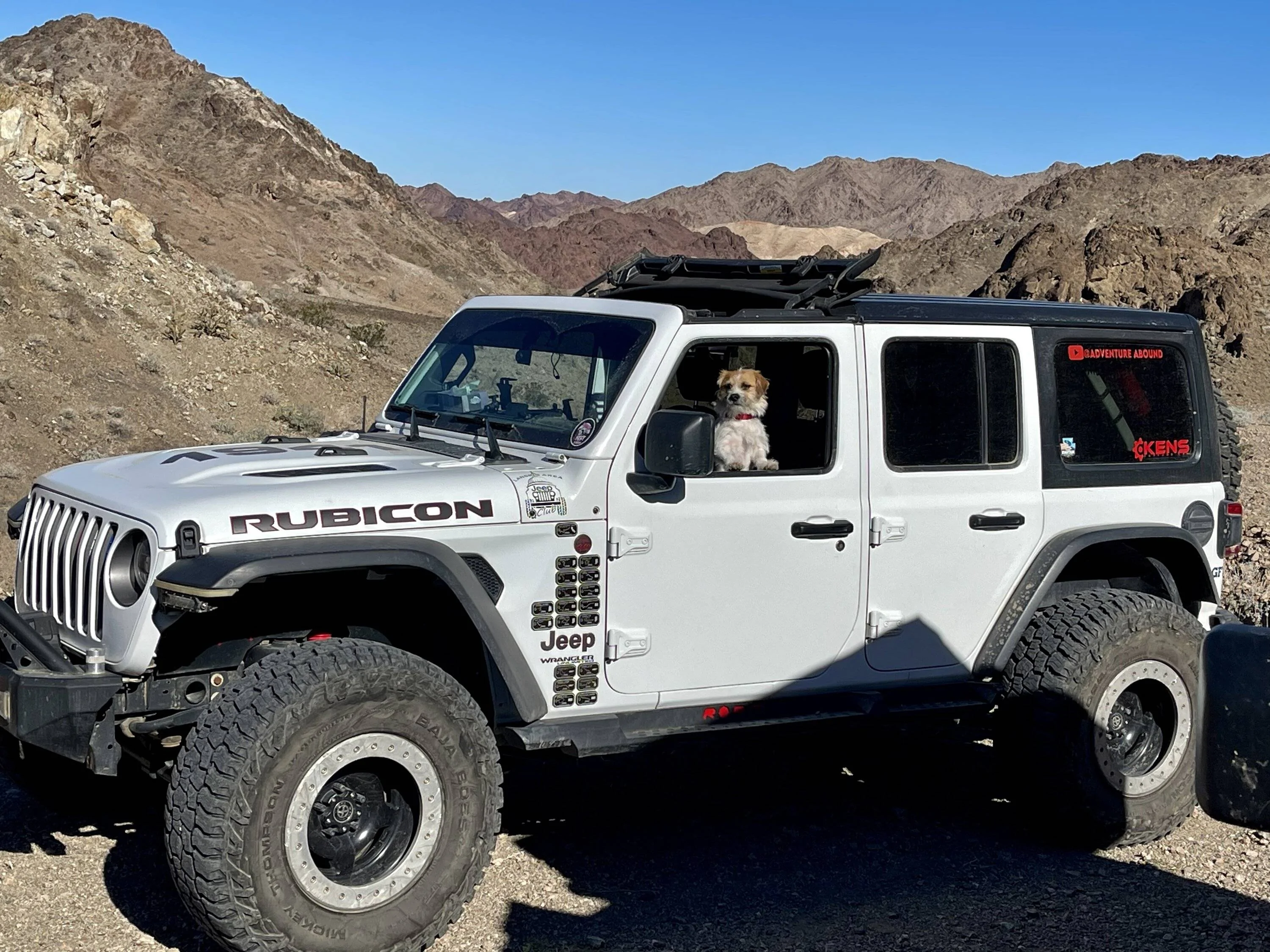 Jeep Wrangler JL Jeep Dog pics DFEA7E5A-4B13-42A5-90B0-F73CFF8FD7AA