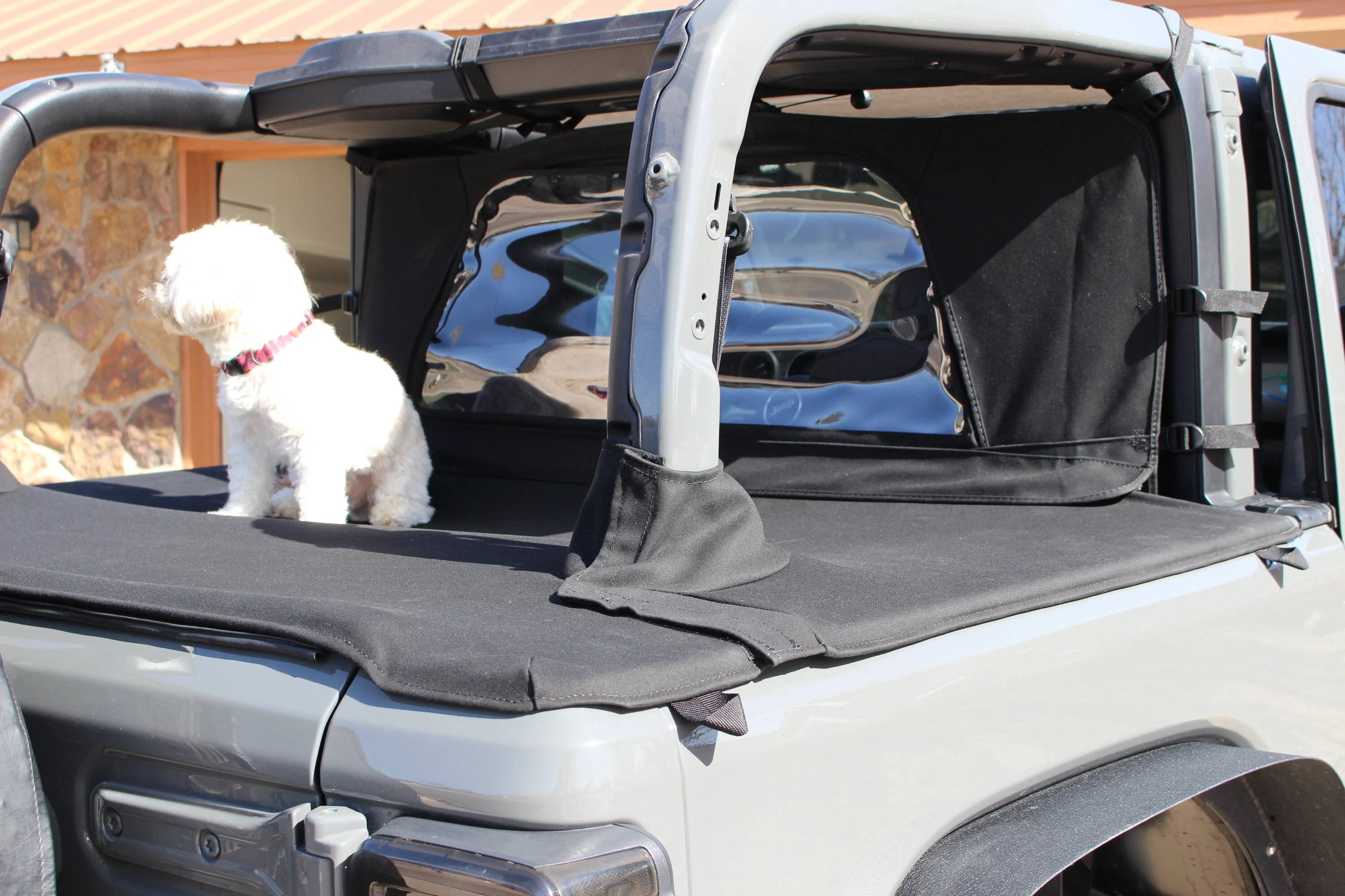 Jeep Wrangler JL Jeep Dog pics IMG_0896