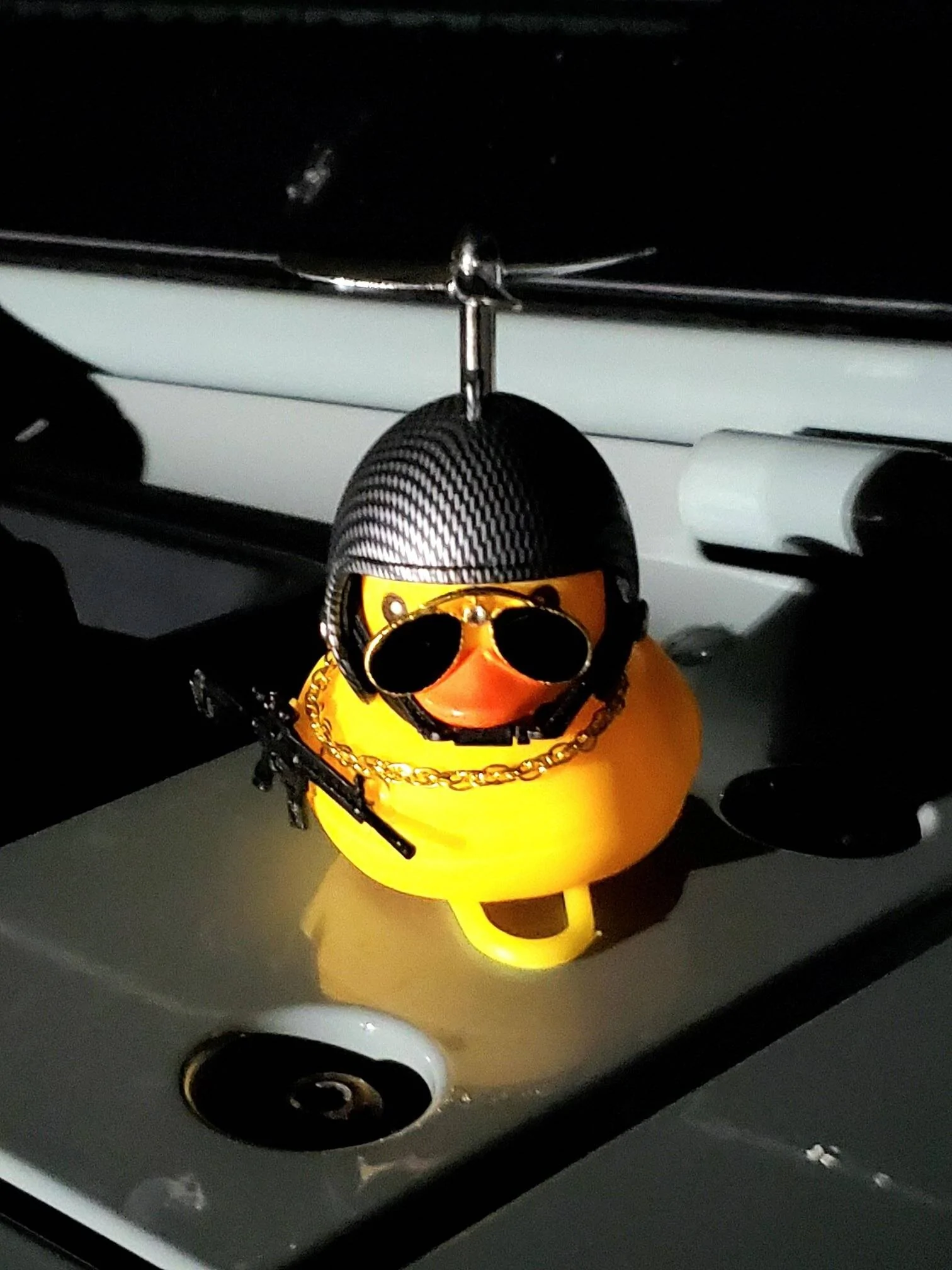 Jeep Wrangler JL Let's see your ducks! 20230201_203202