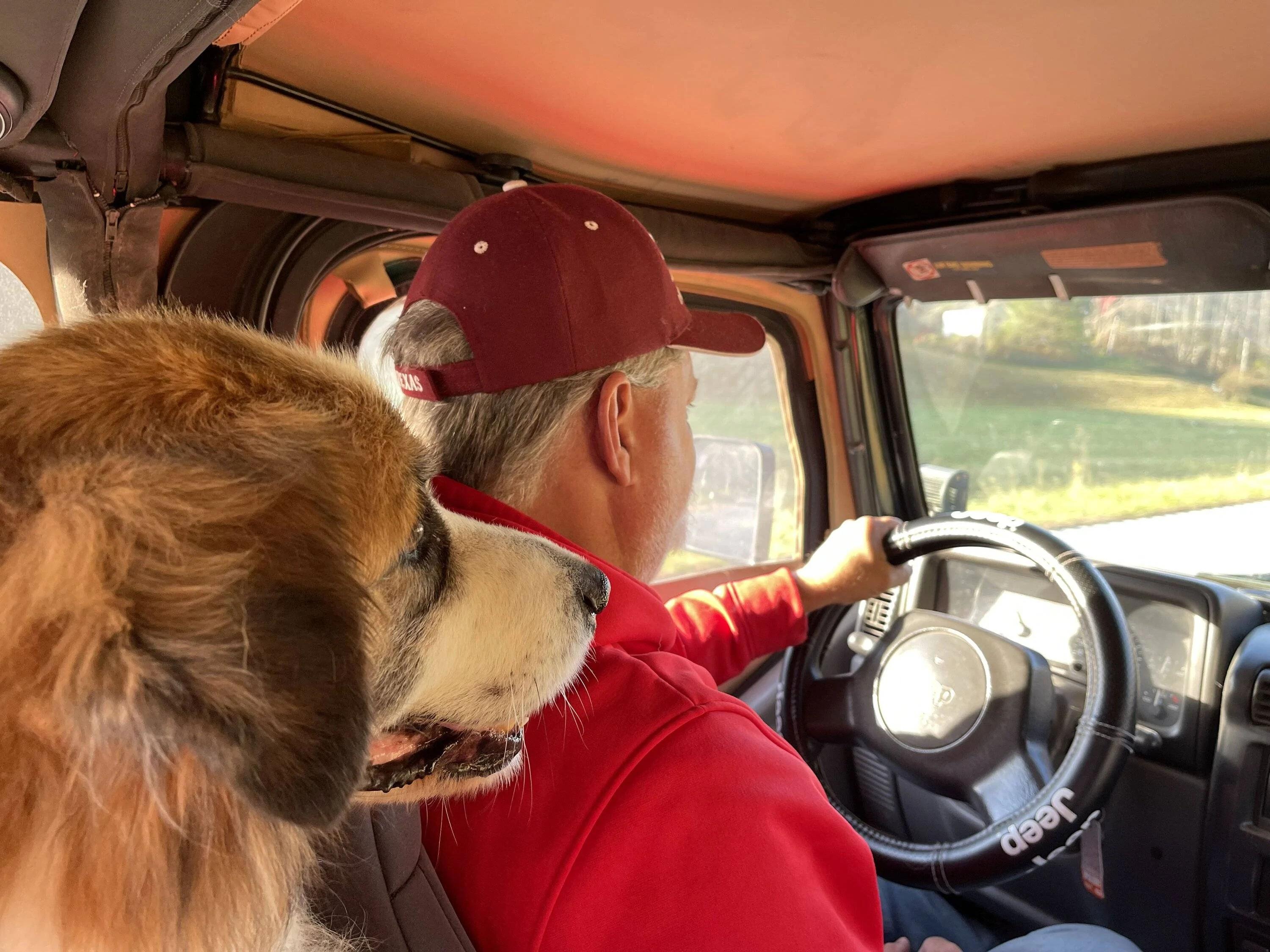 Jeep Wrangler JL Jeep Dog pics 20477C24-C702-4F06-AA07-CDE9F898EB1F