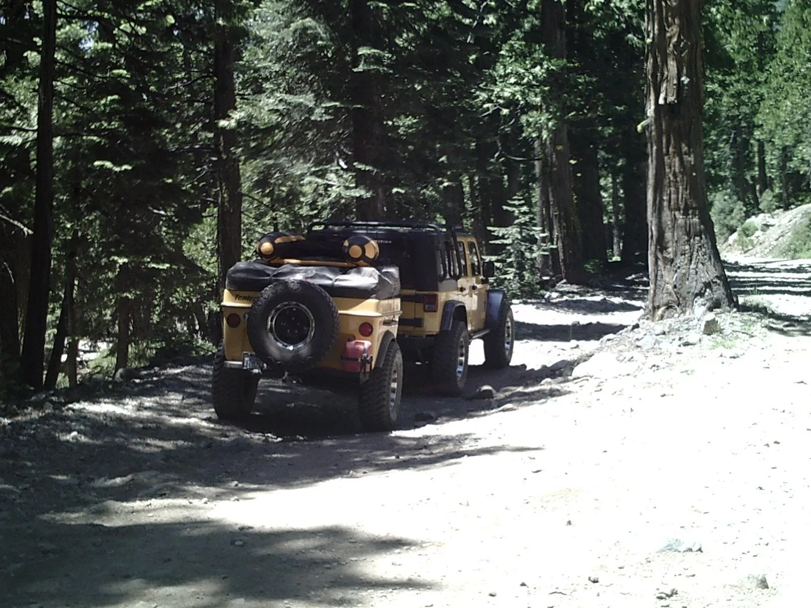 Jeep Wrangler JL Trails nor cal SUNP0057
