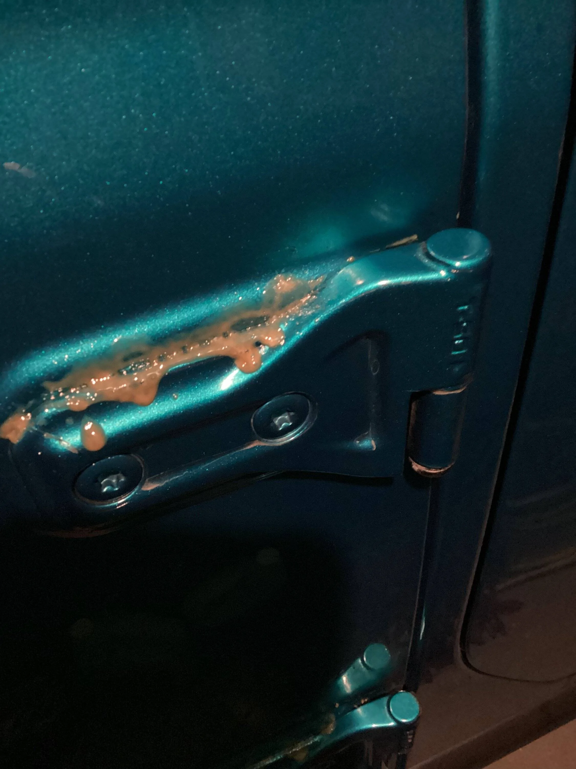 Jeep Wrangler JL Poll: Hinge Paint Issues Thread 57D1A08D-7243-4AF3-8769-14C010C9EE28