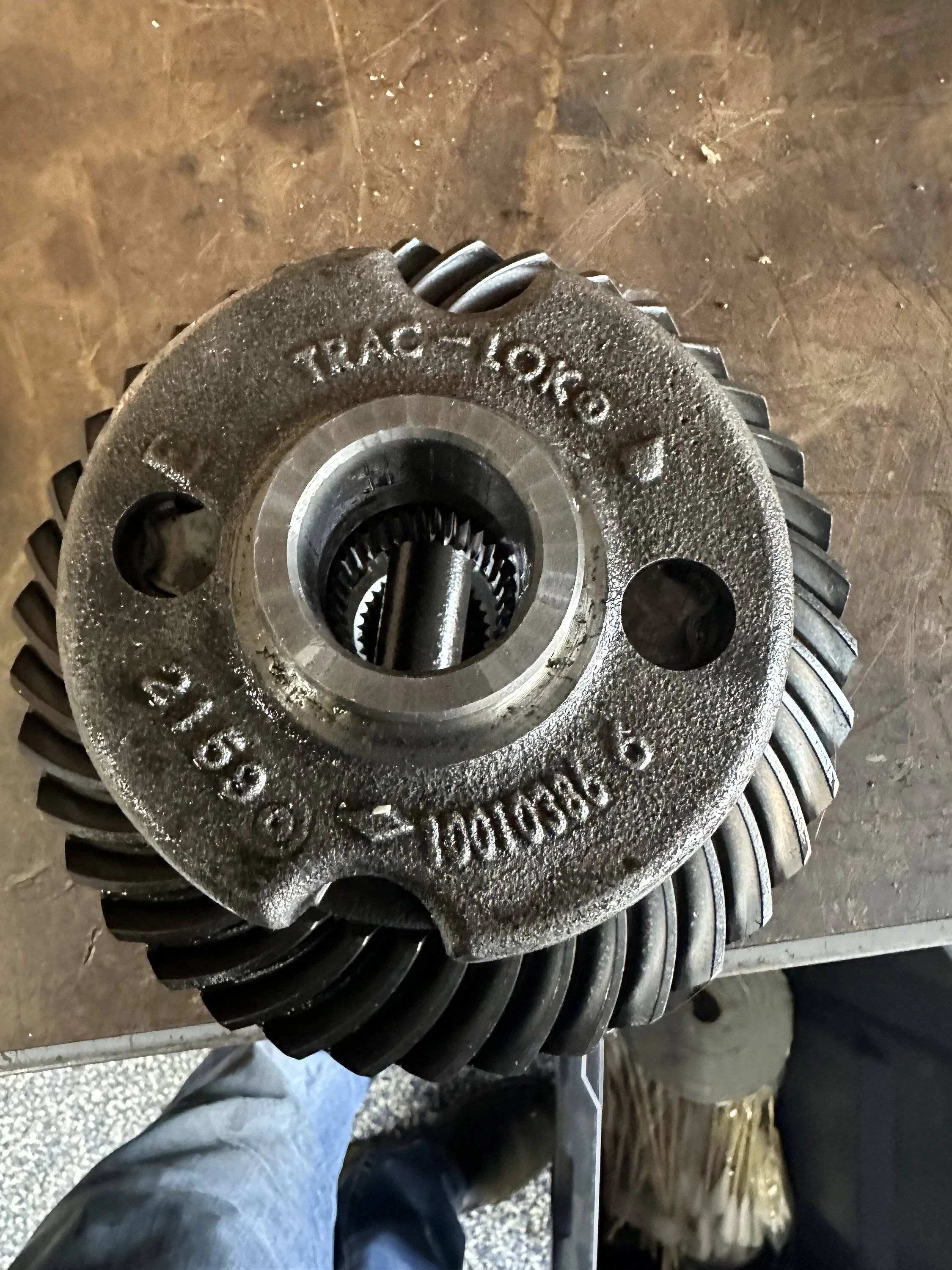 Jeep Wrangler JL Free - LSD 337870C7-15F9-4569-A5FD-495E50338A79