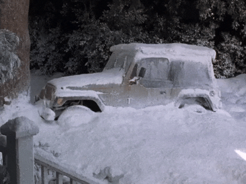 Jeep Wrangler JL Snow day Friday at rowher? 1677193605947