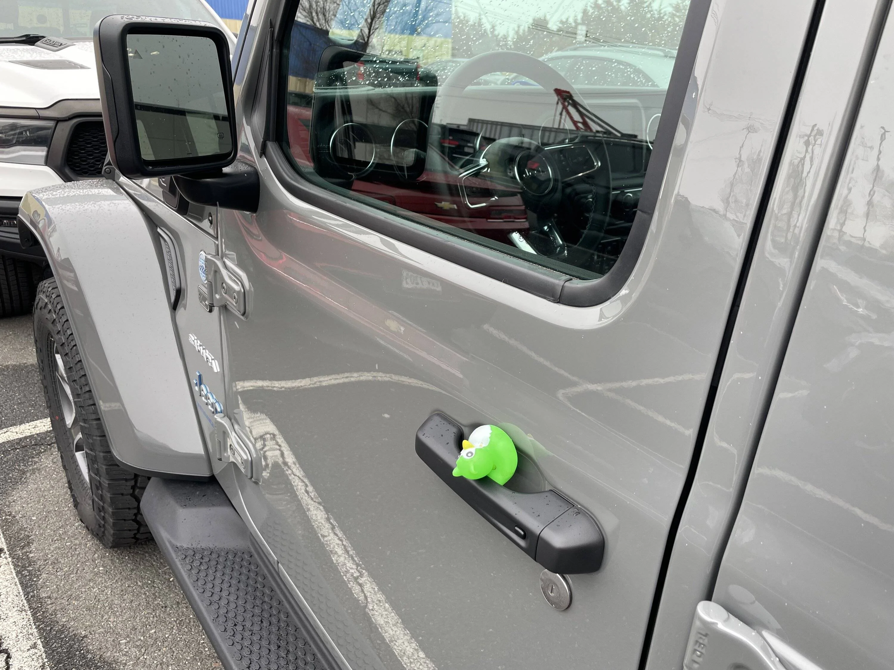 Jeep Wrangler JL Let's see your ducks! D7F00628-CE46-41DD-B92D-066C8F787325
