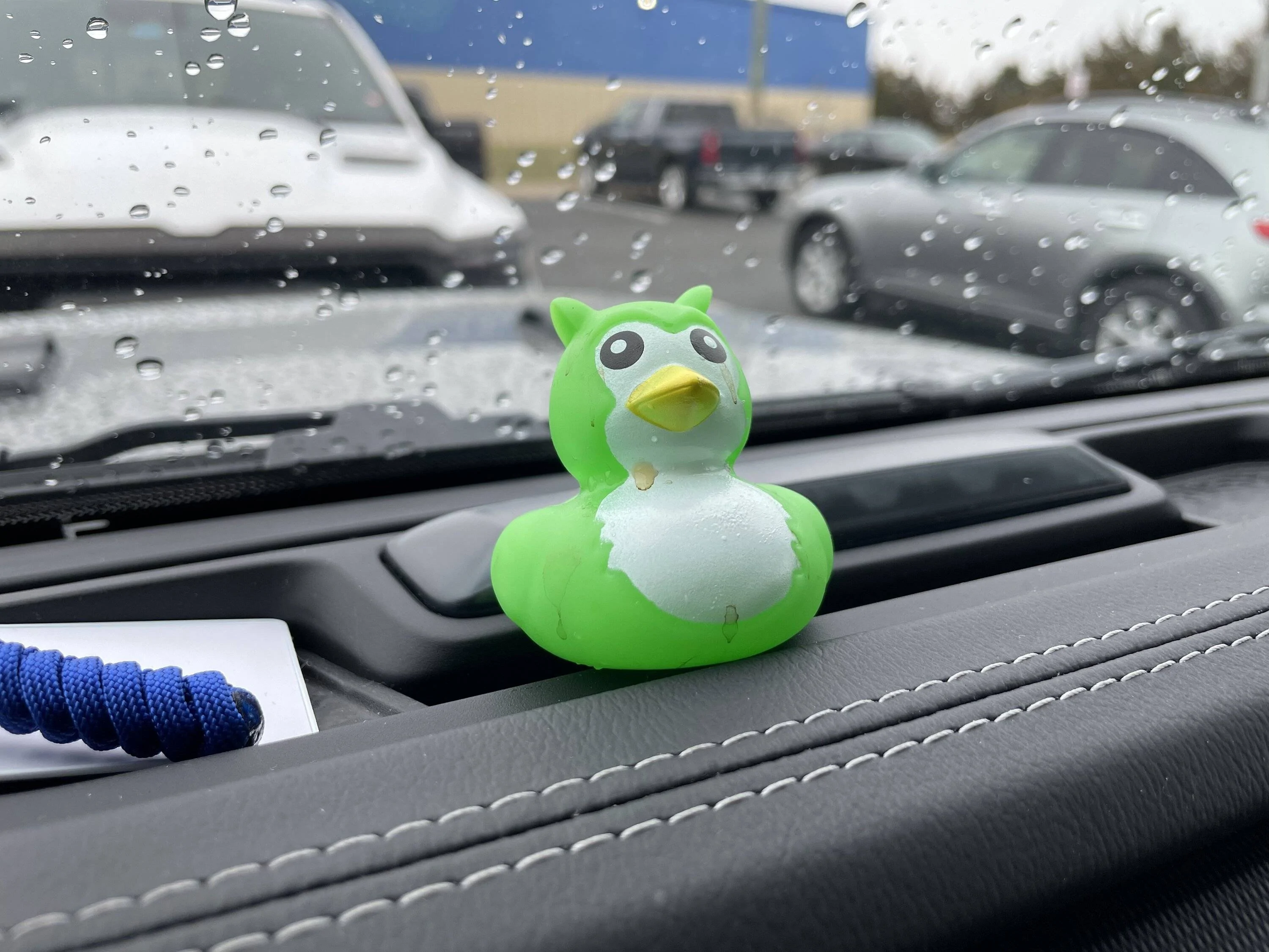 Jeep Wrangler JL Let's see your ducks! 48C8DD1B-ED1F-4D86-B8EF-C5A8A771A324