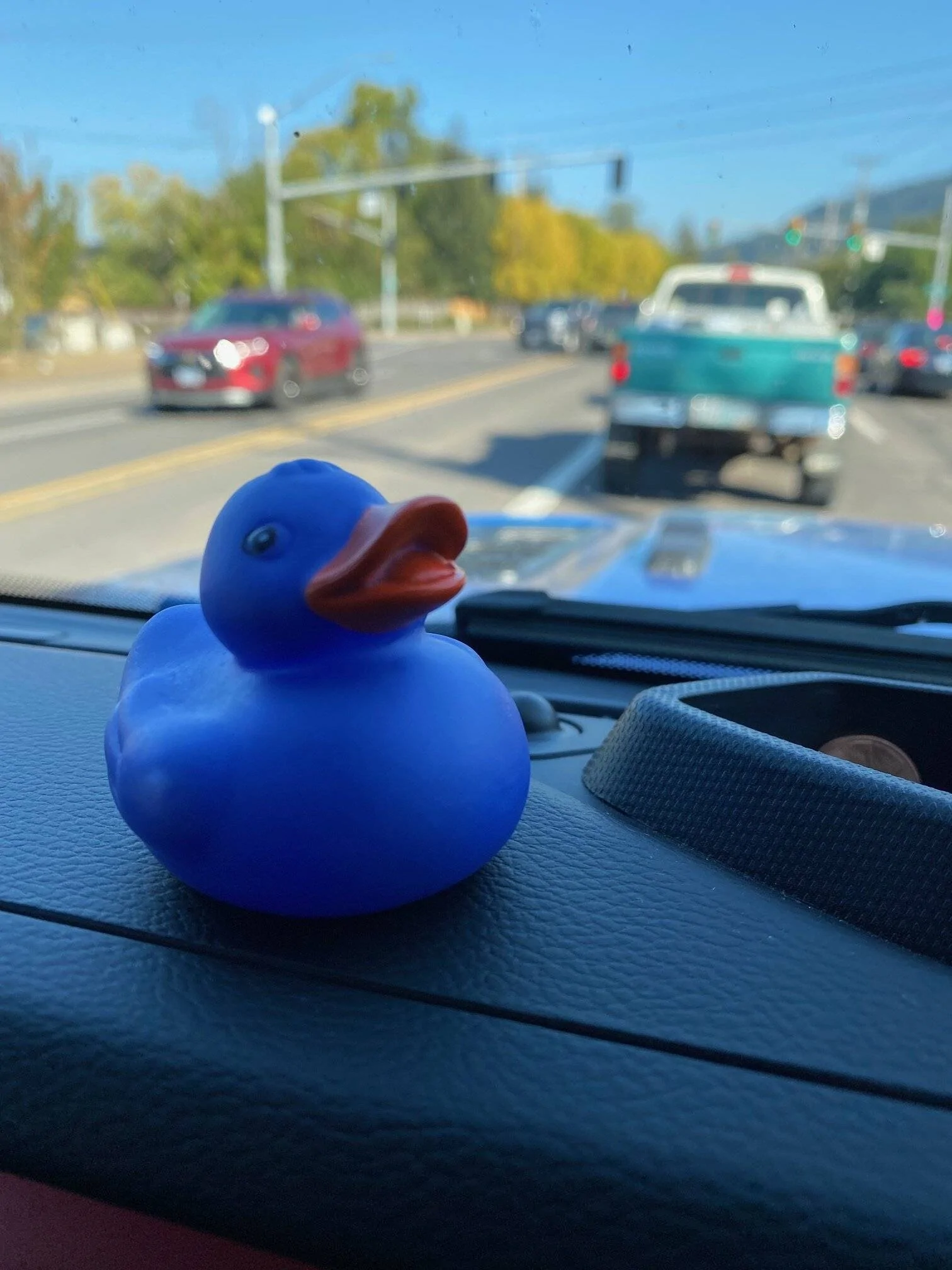 Jeep Wrangler JL Ducksanity / Ducks Gone Wild Jeep Duck