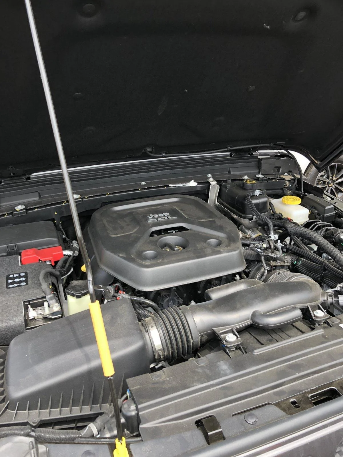 Jeep Wrangler JL 2.0L turbo Jeep Wrangler JL Delivered Today 863741F0-D5F6-4B59-9AC0-CEFEA2969C9D