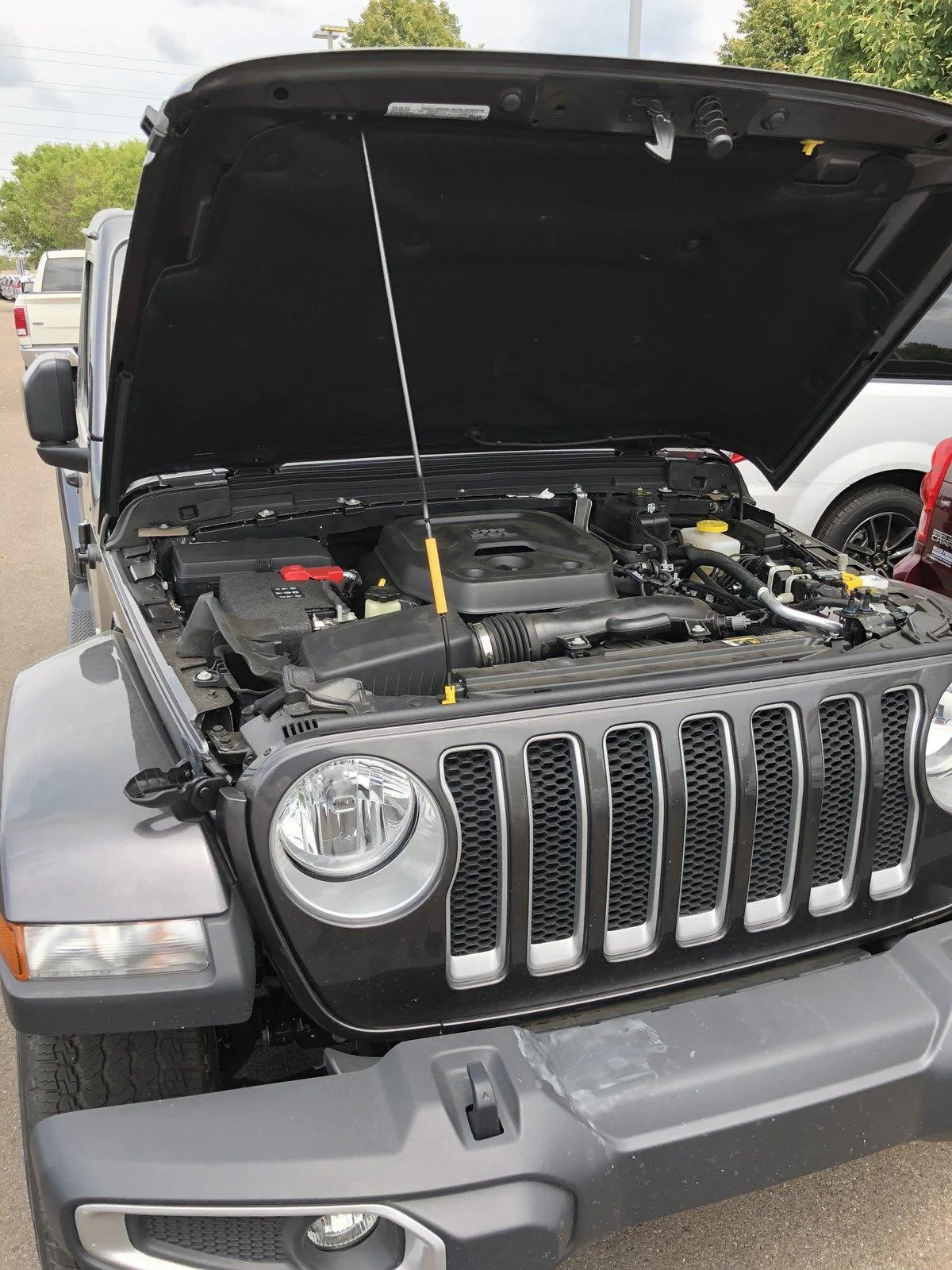 Jeep Wrangler JL 2.0L turbo Jeep Wrangler JL Delivered Today 783269C3-E0F3-4831-8D42-BBC3289E2739