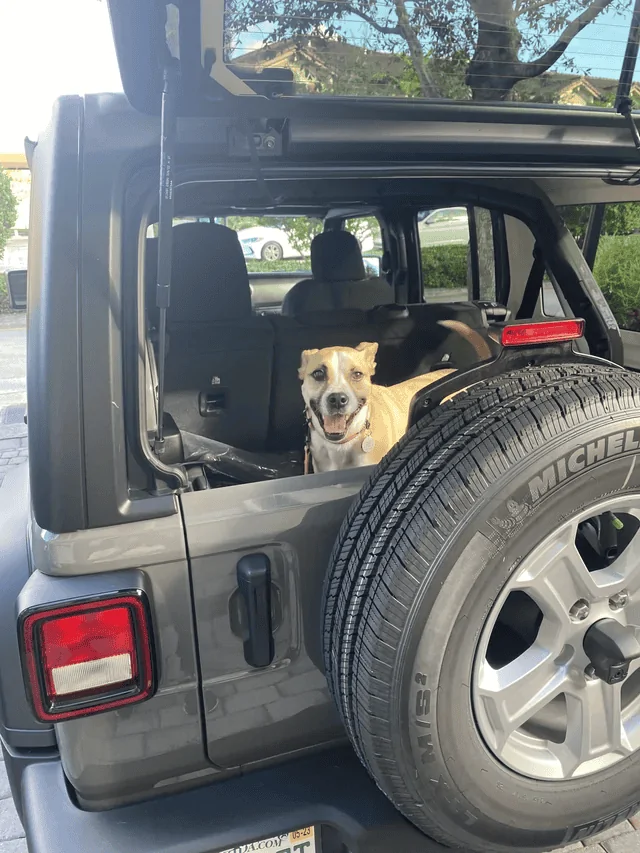 Jeep Wrangler JL Introductions & Welcome Thread 👋 1678120451422