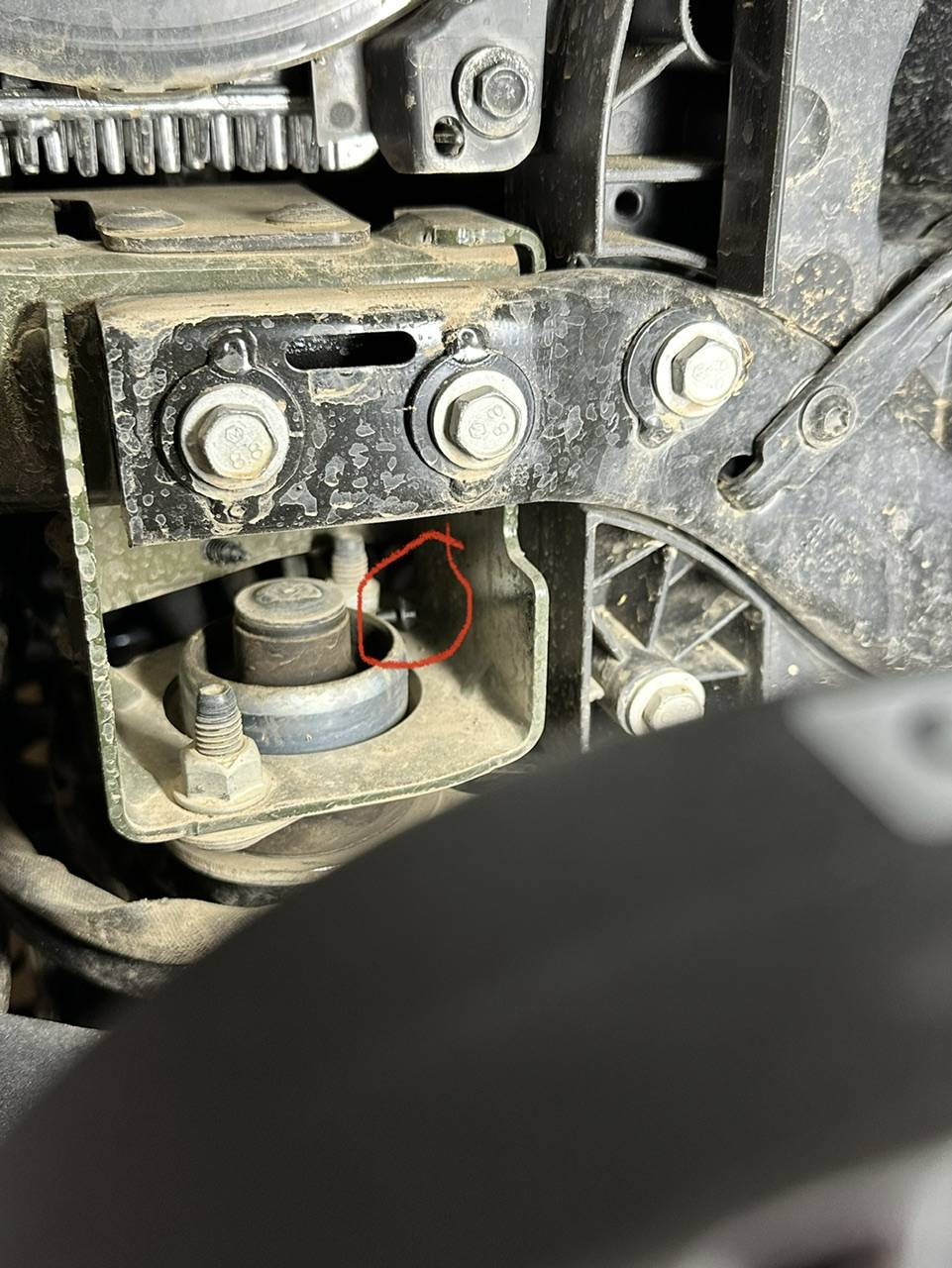 Jeep Wrangler JL Simple Subwoofer Upgrade!? 7368CBCE-D6B5-447C-8F75-EF6B5C87A802