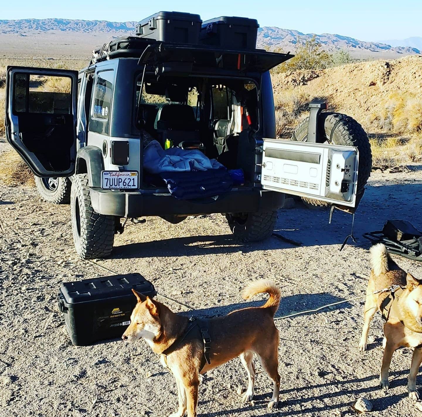 Jeep Wrangler JL Jeep Dog pics Screenshot_20220824-184856_Instagram