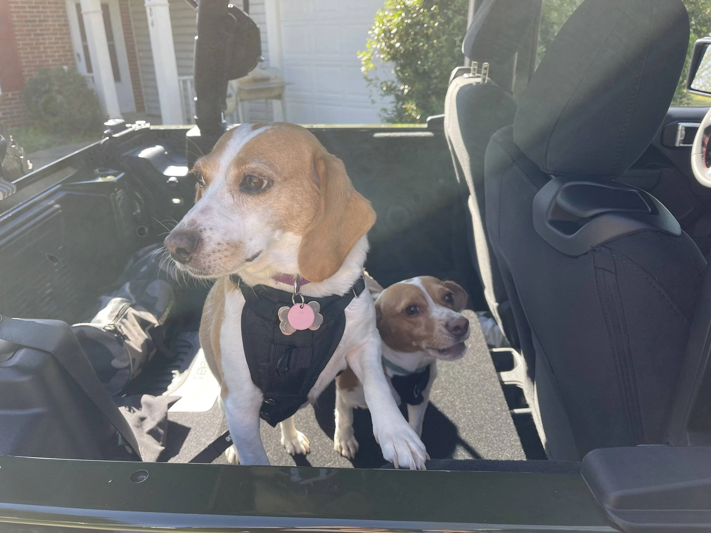 Jeep Wrangler JL DIY 2 Door Storage Plate System Beagles