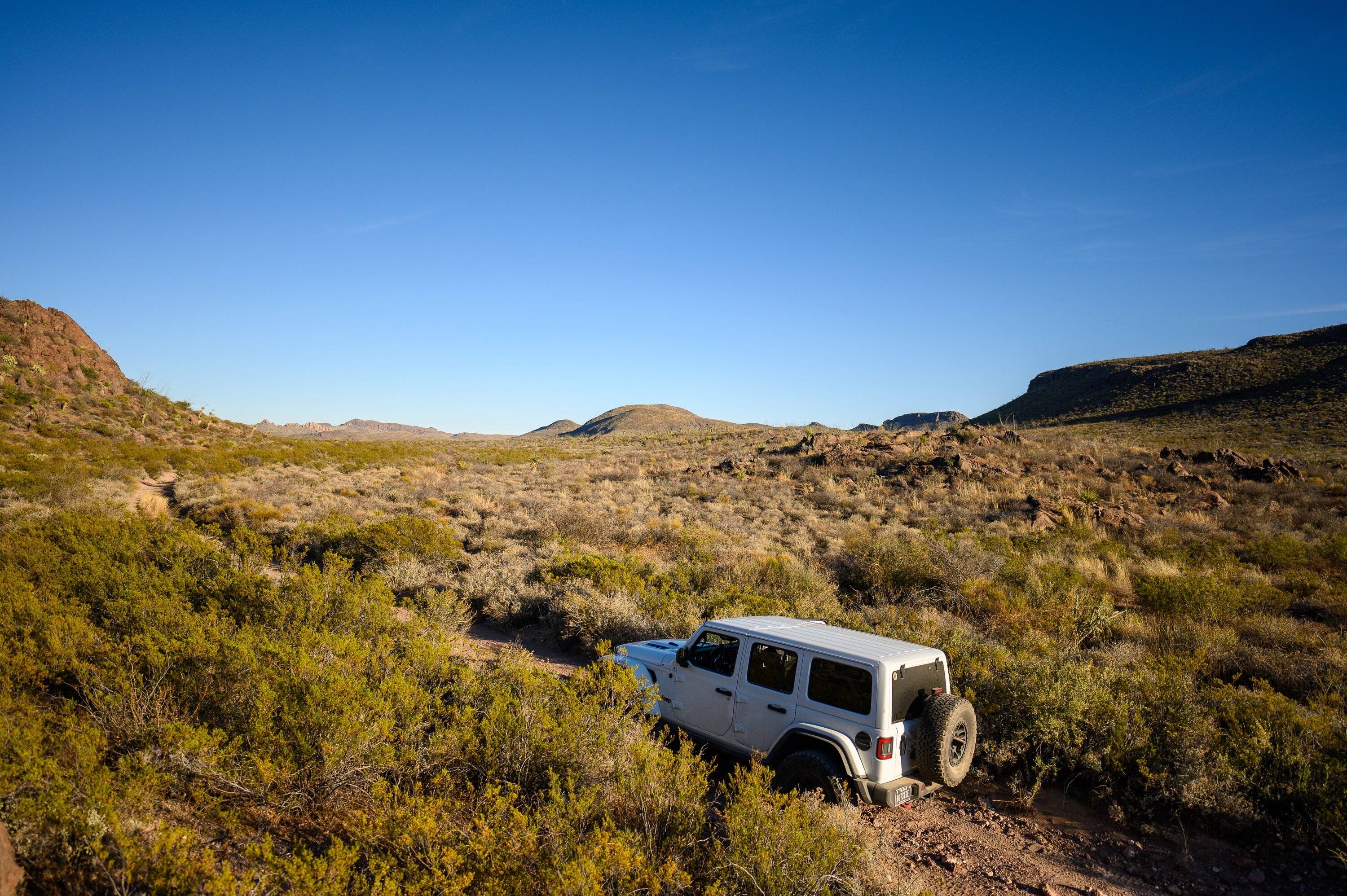 Jeep Wrangler JL Sexiest Jeep Alive... Round 7 voting... #61-#70 29FC8086-0736-415C-8493-398B0653DB03