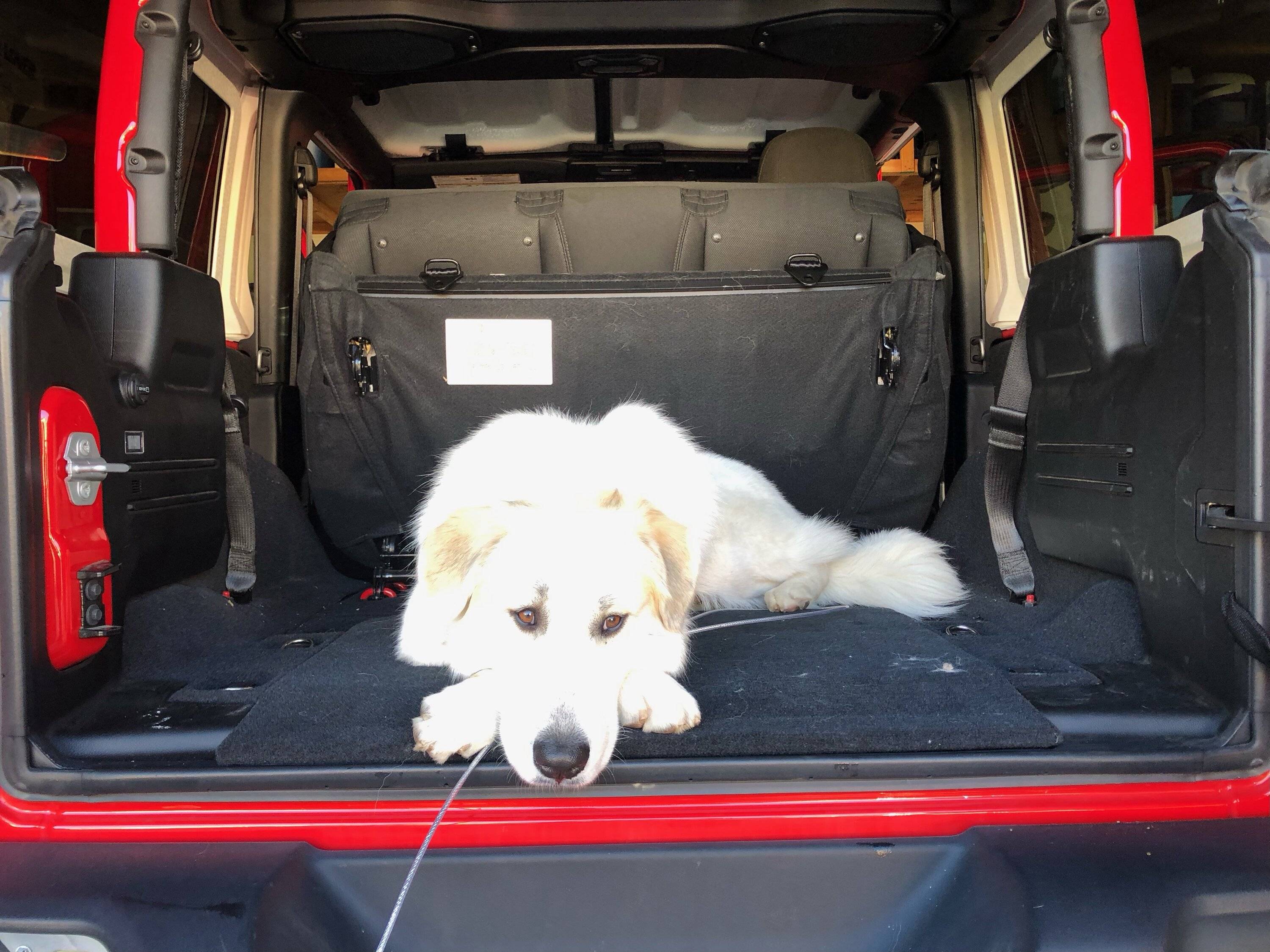 Jeep Wrangler JL Non-skid cargo liner/mat? IMG_1704