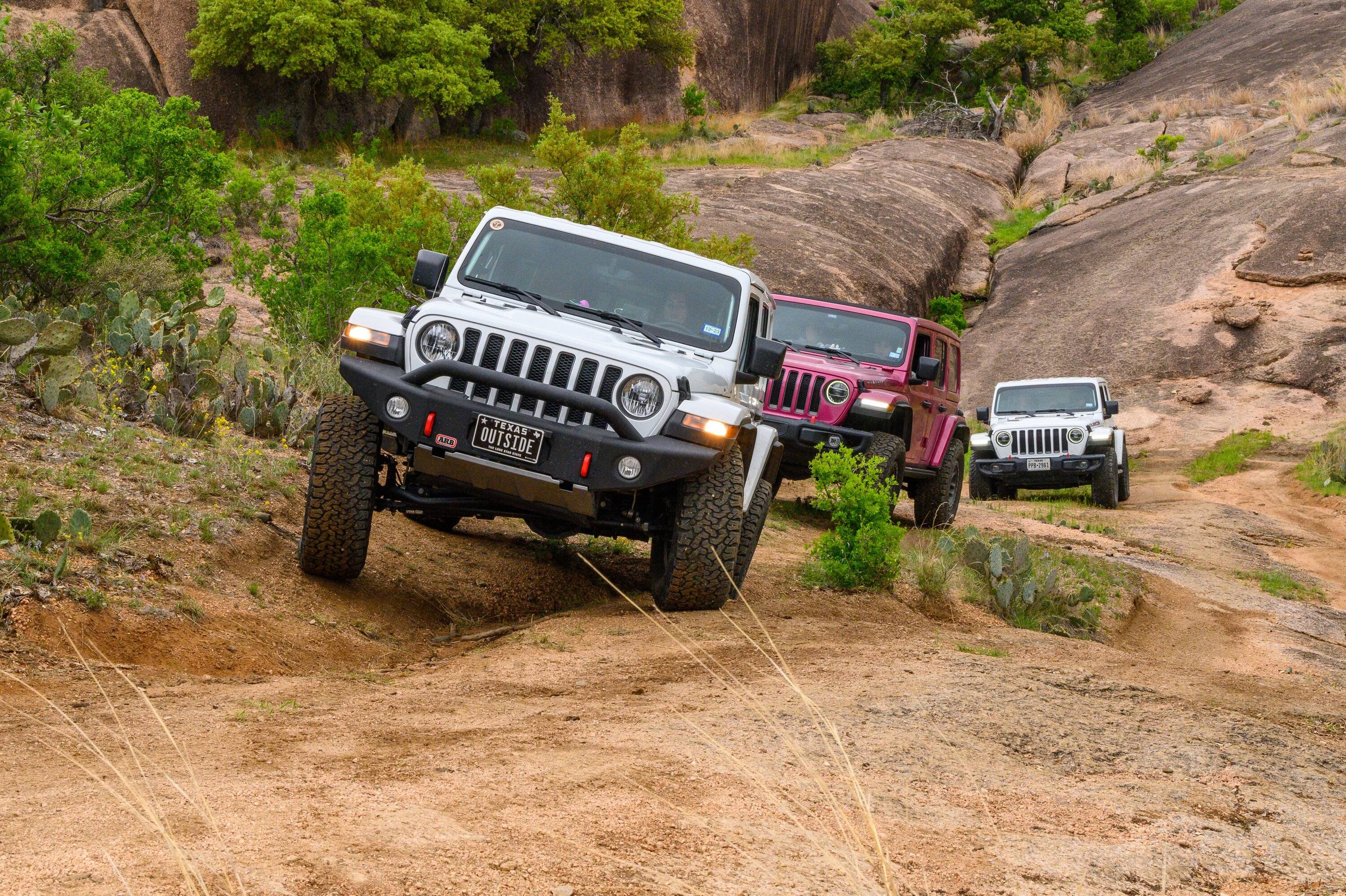 Jeep Wrangler JL Lets see those personalized plates!!! 128C857B-0182-412A-AE15-74D40E6BE8B4