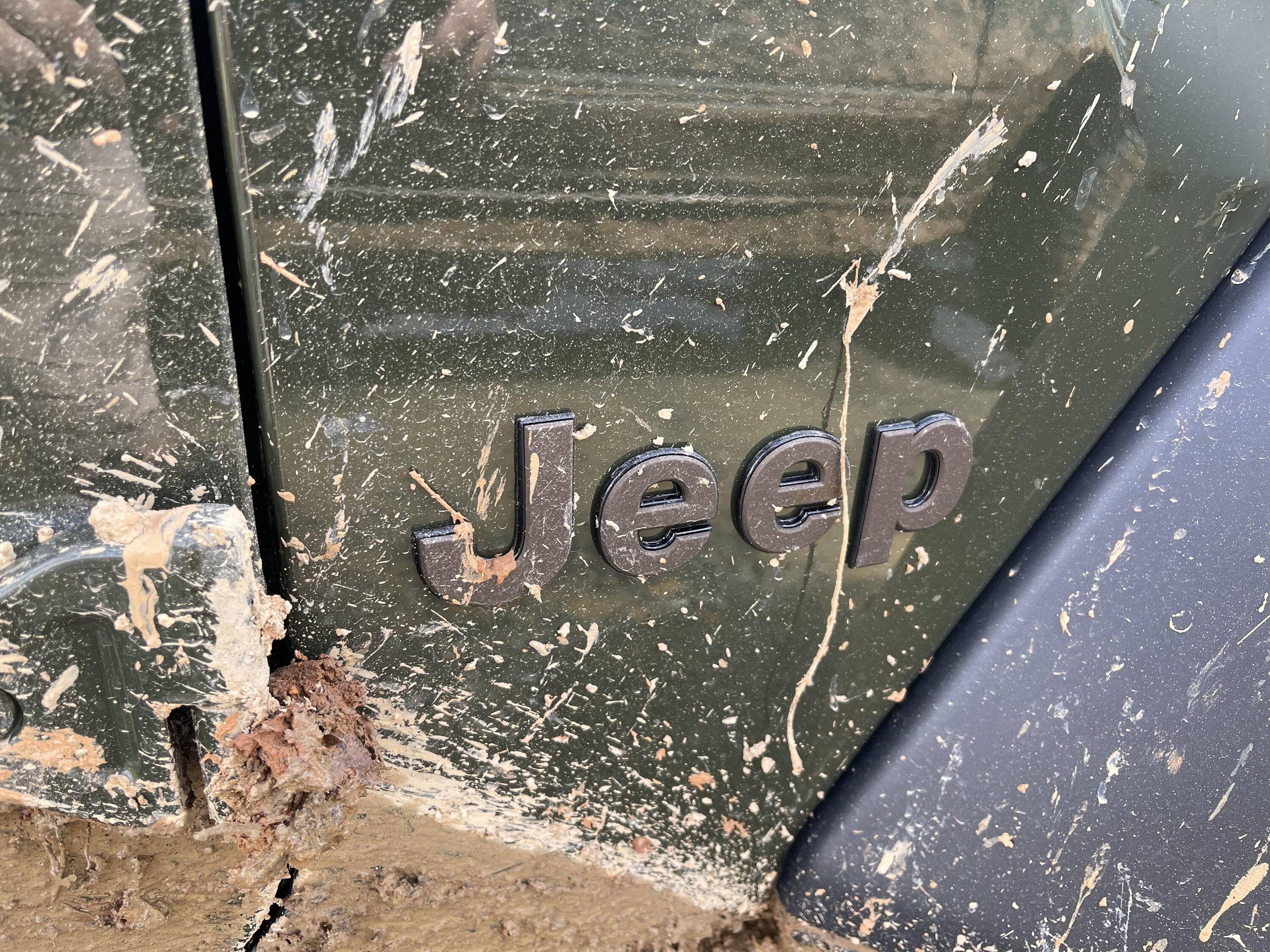 Jeep Wrangler JL Painted Jeep Emblems Survived