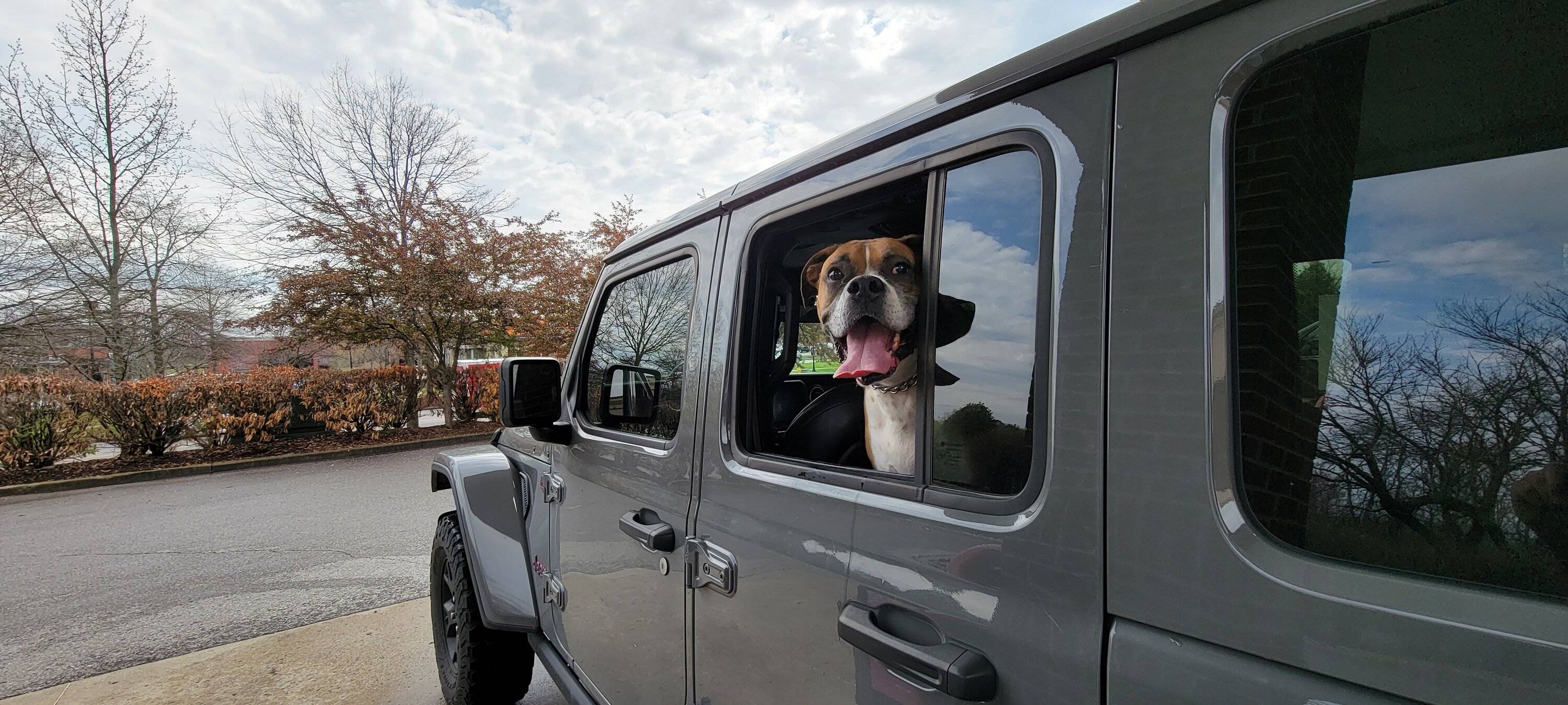Jeep Wrangler JL Jeep Dog pics 20230331_125140