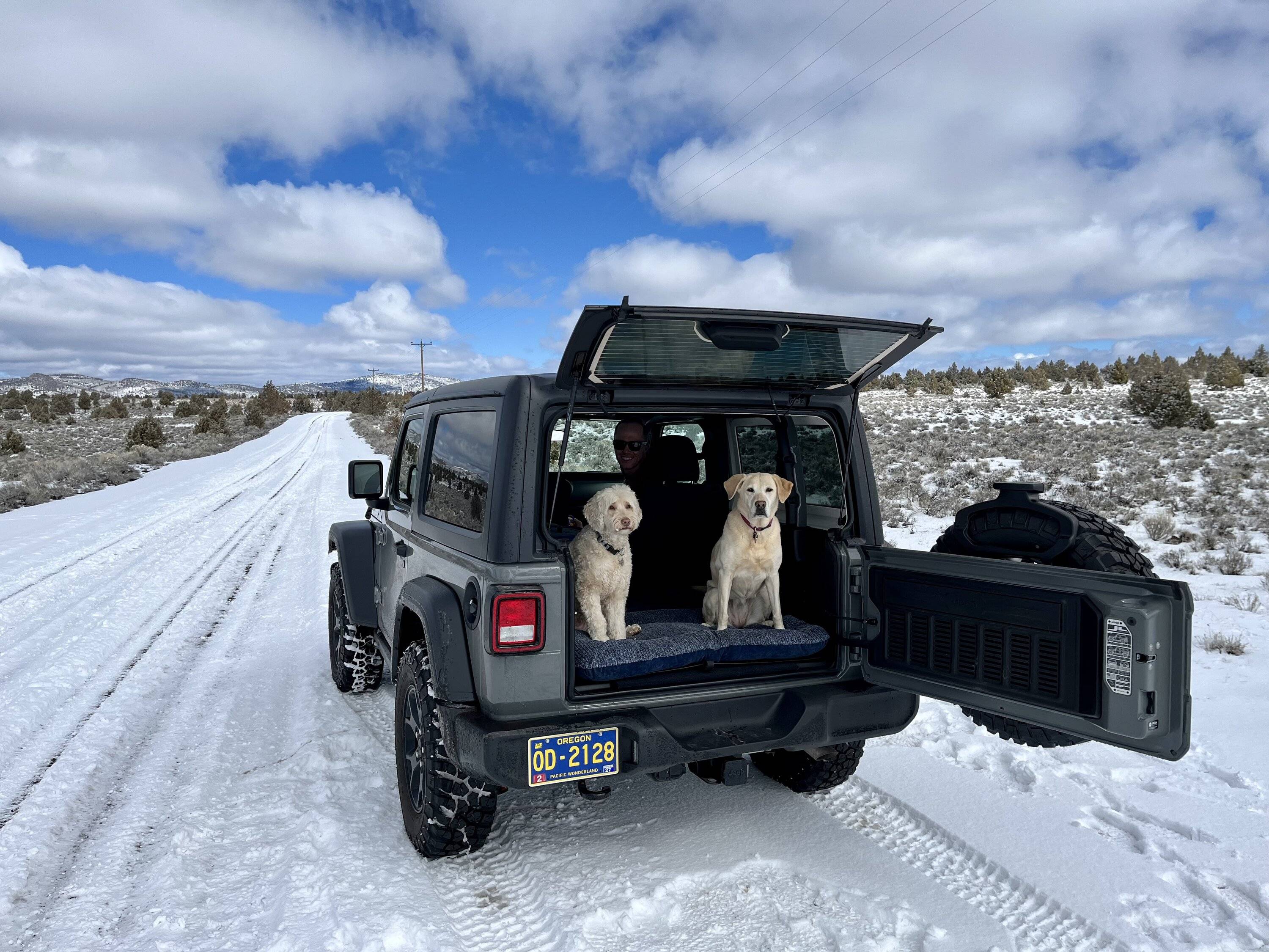 Jeep Wrangler JL Jeep Dog pics IMG_1767
