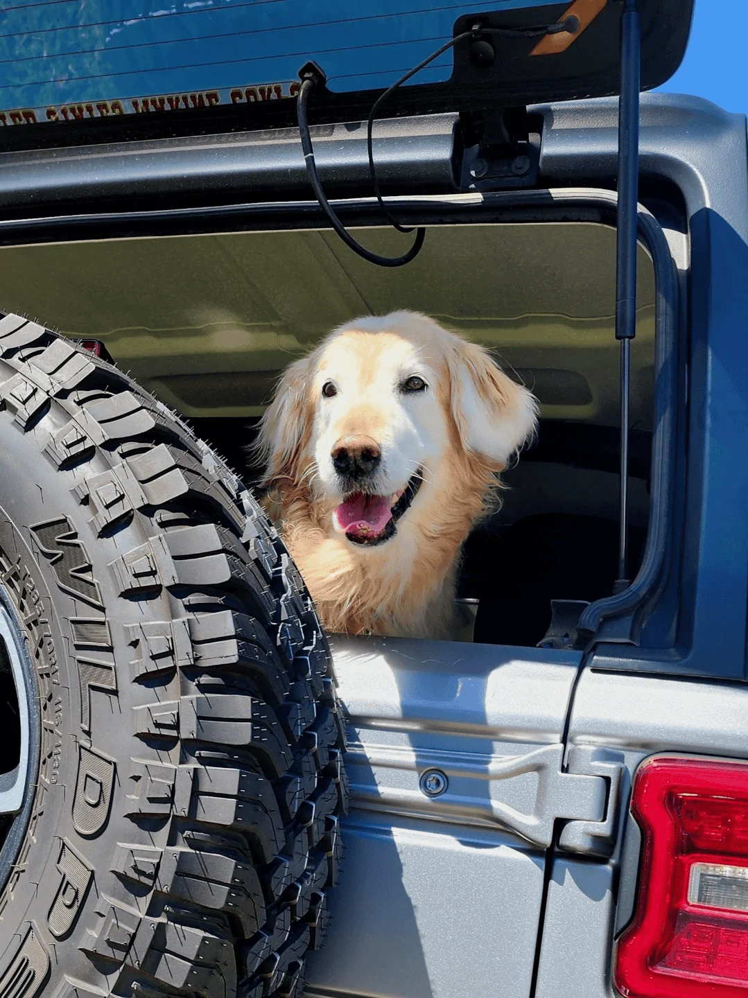 Jeep Wrangler JL Jeep Dog pics 1681125352839
