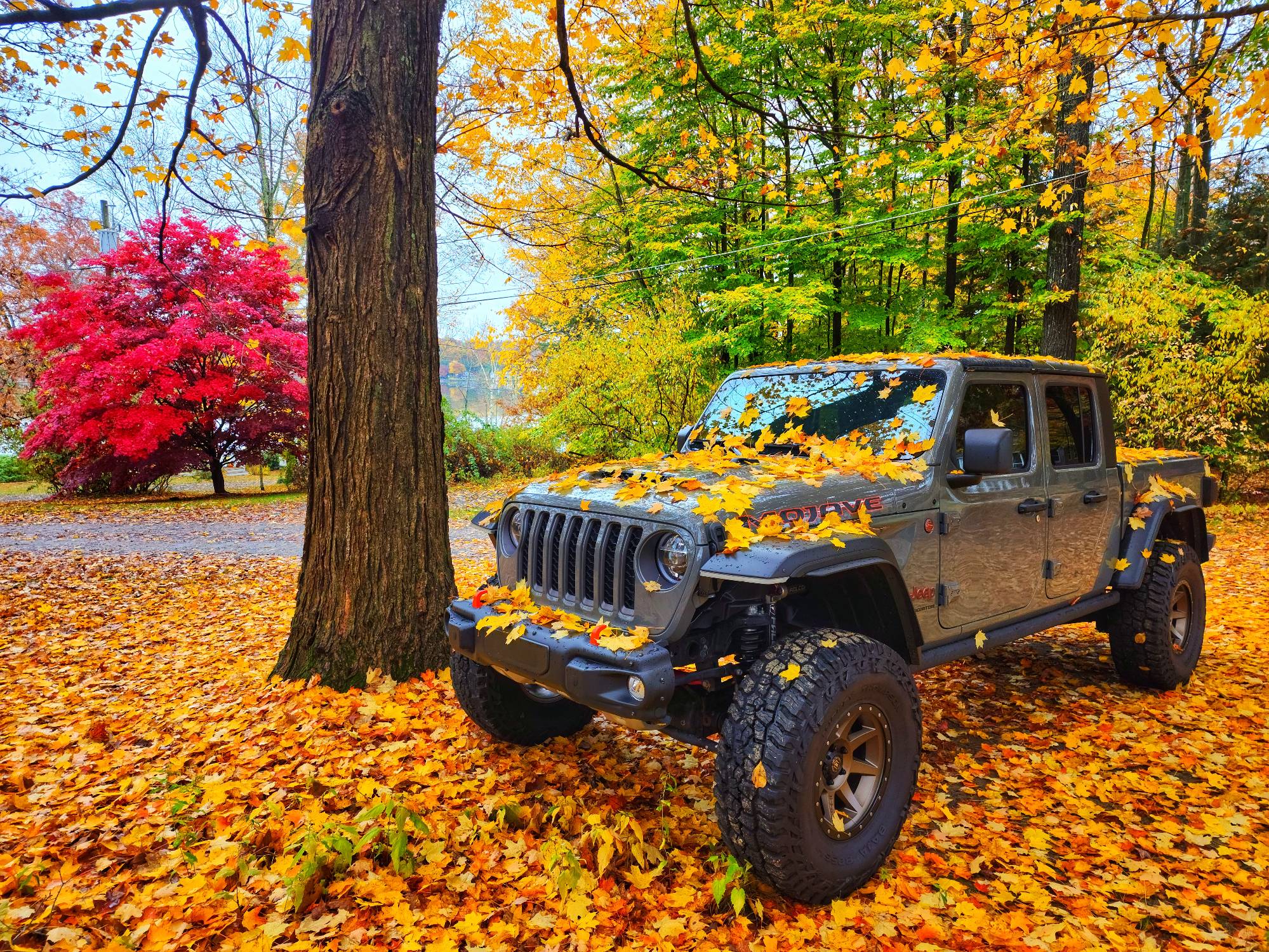 Jeep Wrangler JL Sold Jeep have a few items left... jeep2